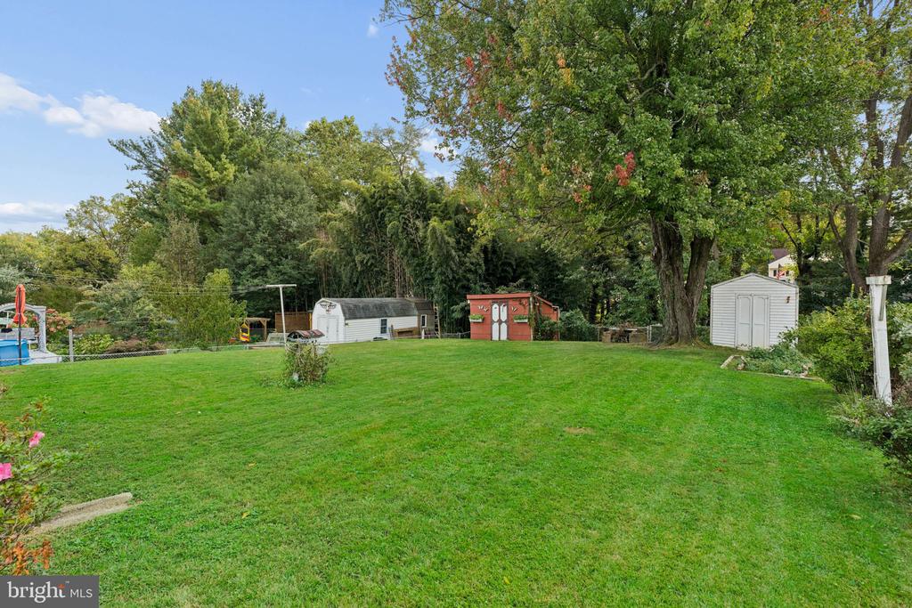 Grassy backyard with mature trees and several sheds along the tree line.