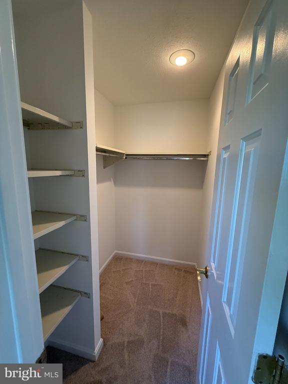 1576 BRIMFIELD CIRCLE