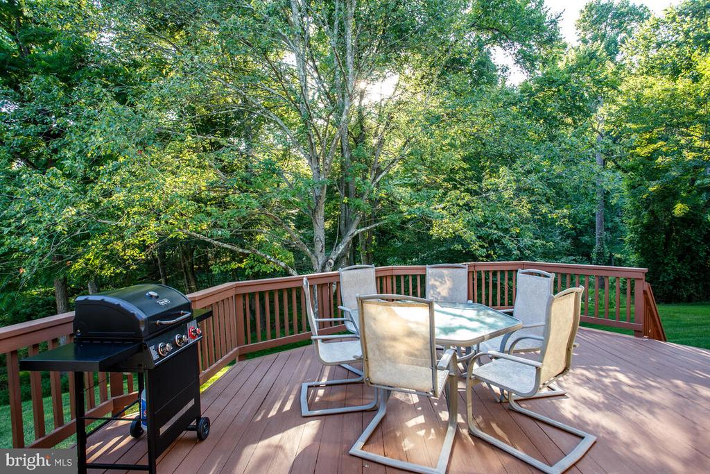 9625 LARCHMEDE COURT