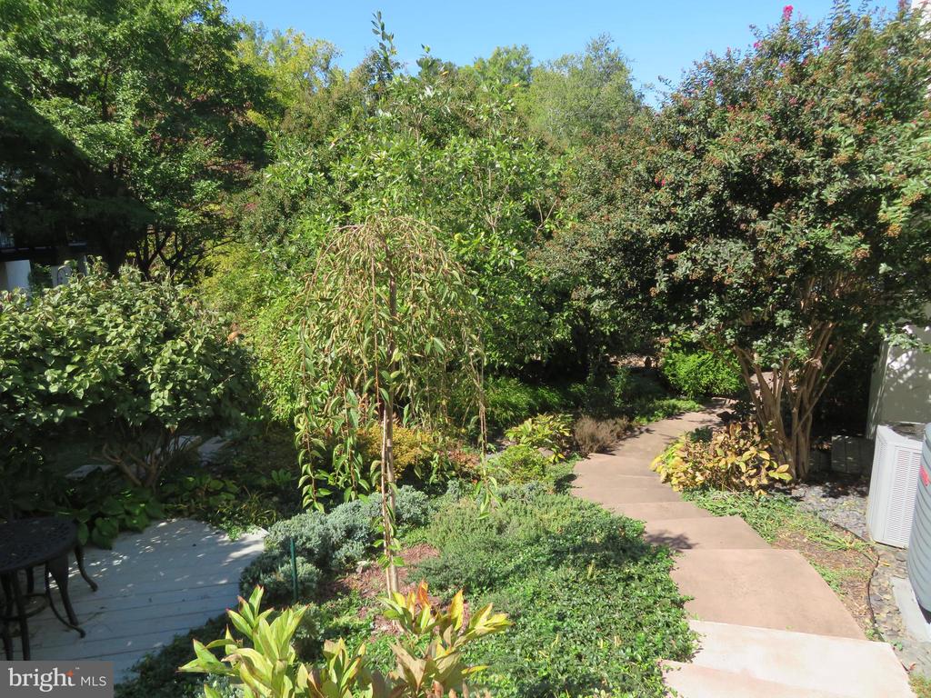 10301 WILDE LAKE TERRACE