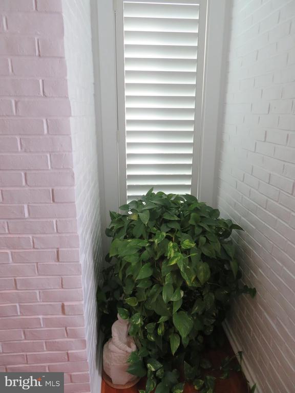 10301 WILDE LAKE TERRACE