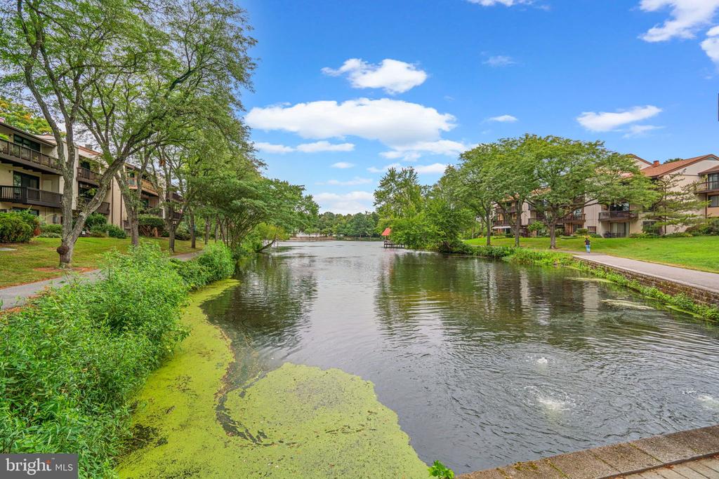 10077 WINDSTREAM DRIVE Unit: 4