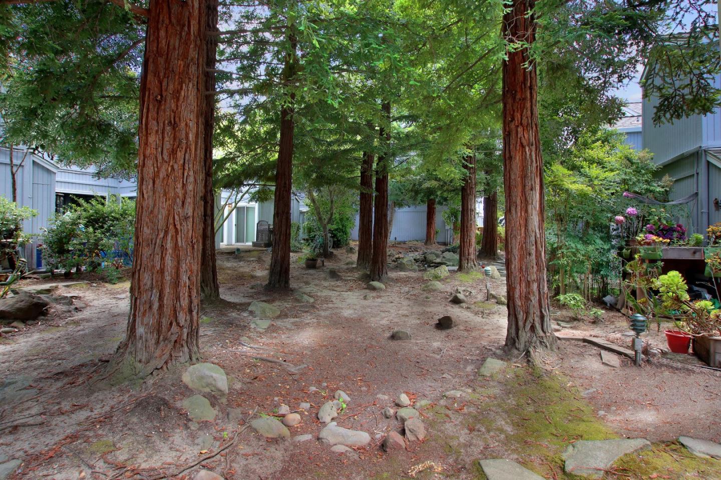 1200 Capitola Road 12