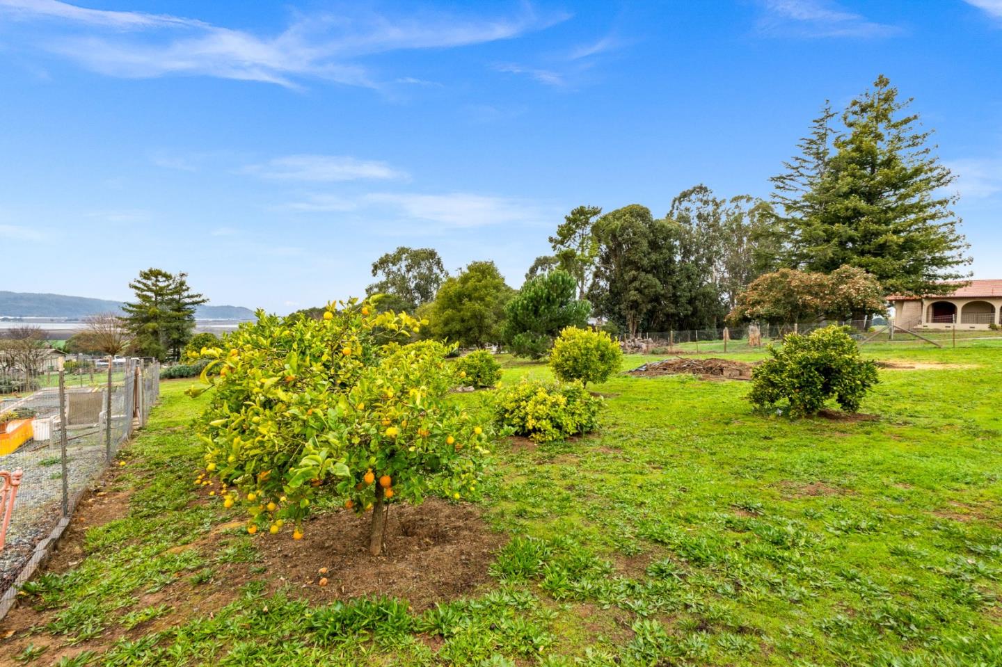 648 Farasi Lane