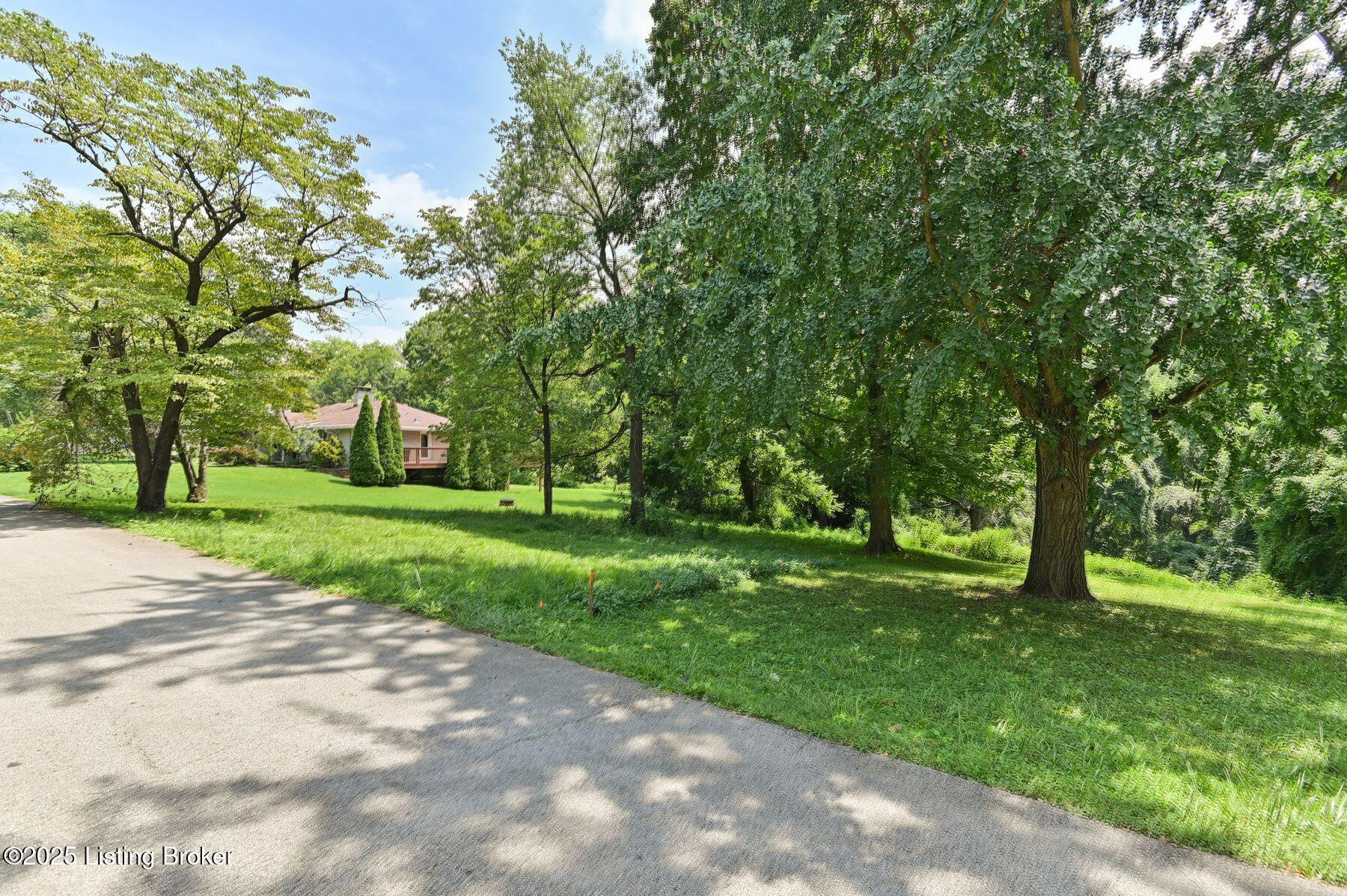 65 Warren Rd