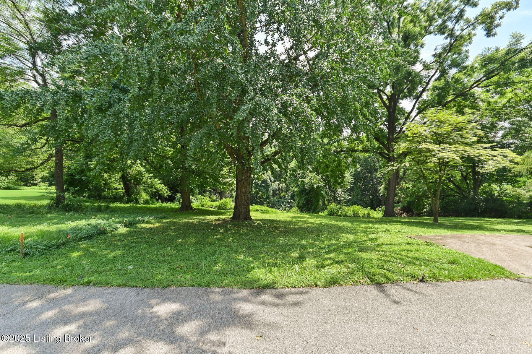 65 Warren Rd
