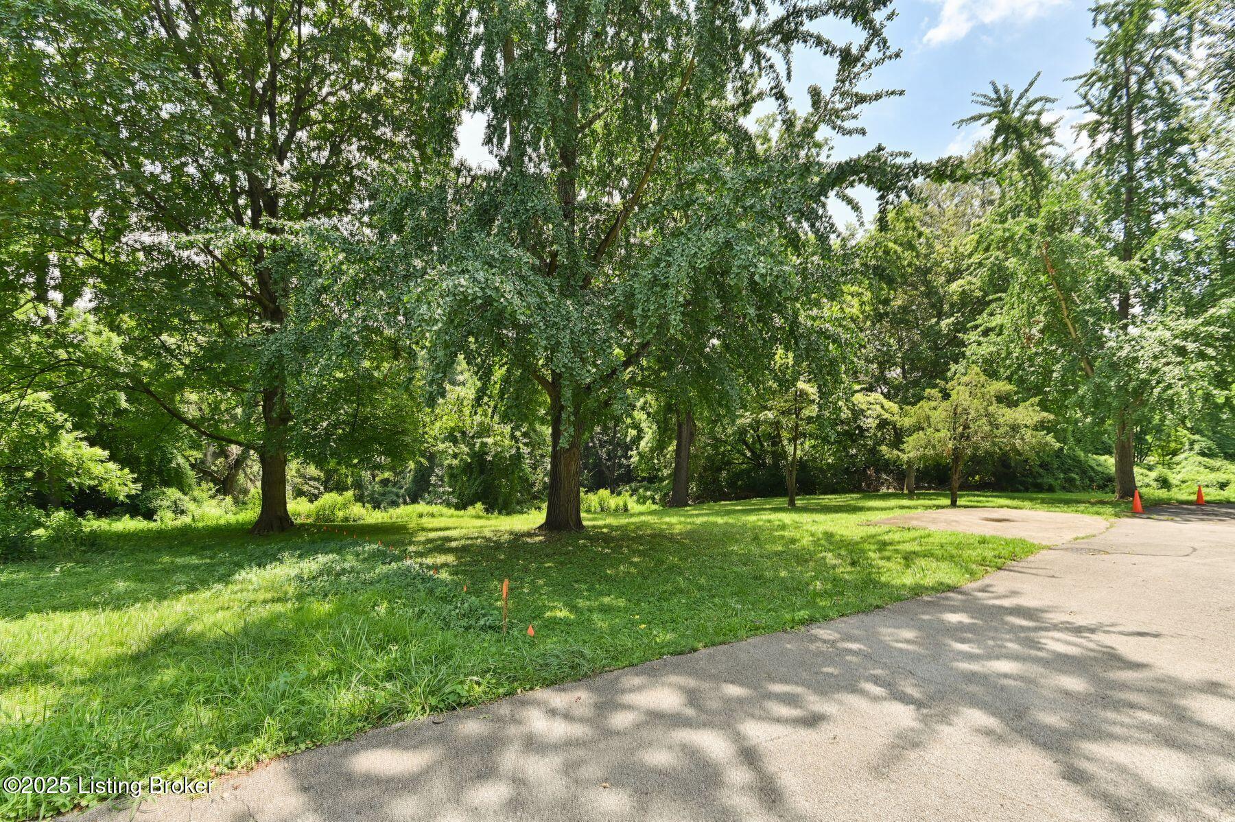 67 Warren Rd