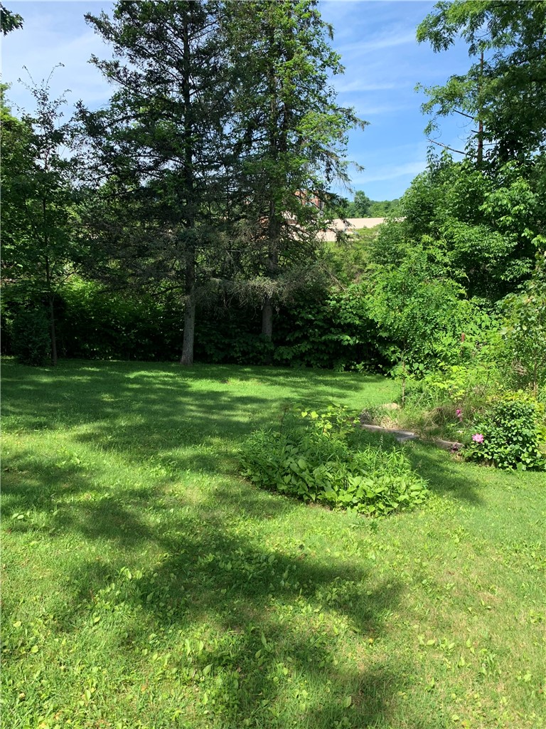 251 Neilson Ave