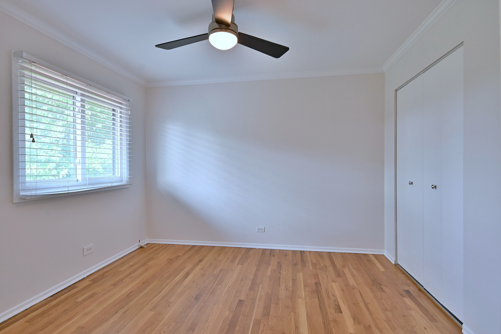 300 Duane Street Unit: 6