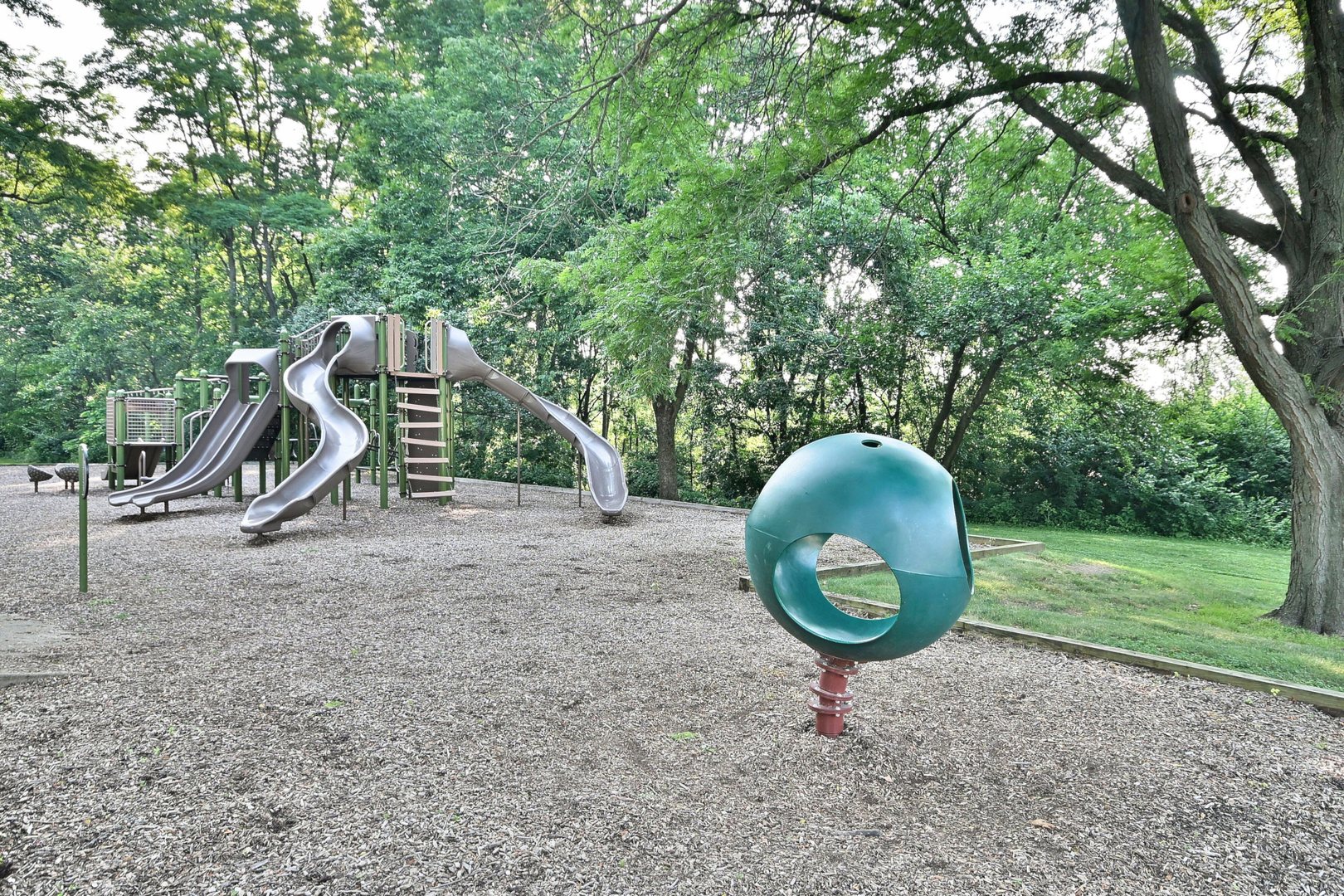 300 Duane Street Unit: 6