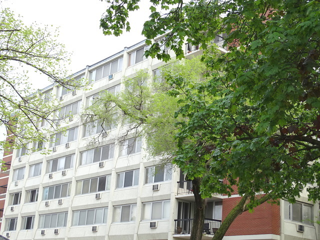 140 Marengo Avenue Unit: 105