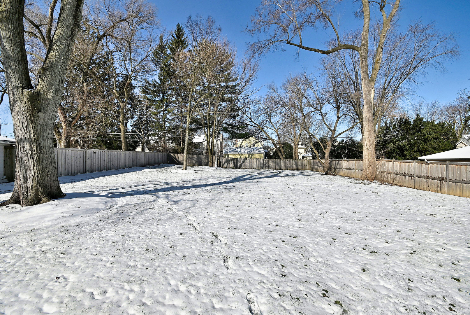 252 Ann Street