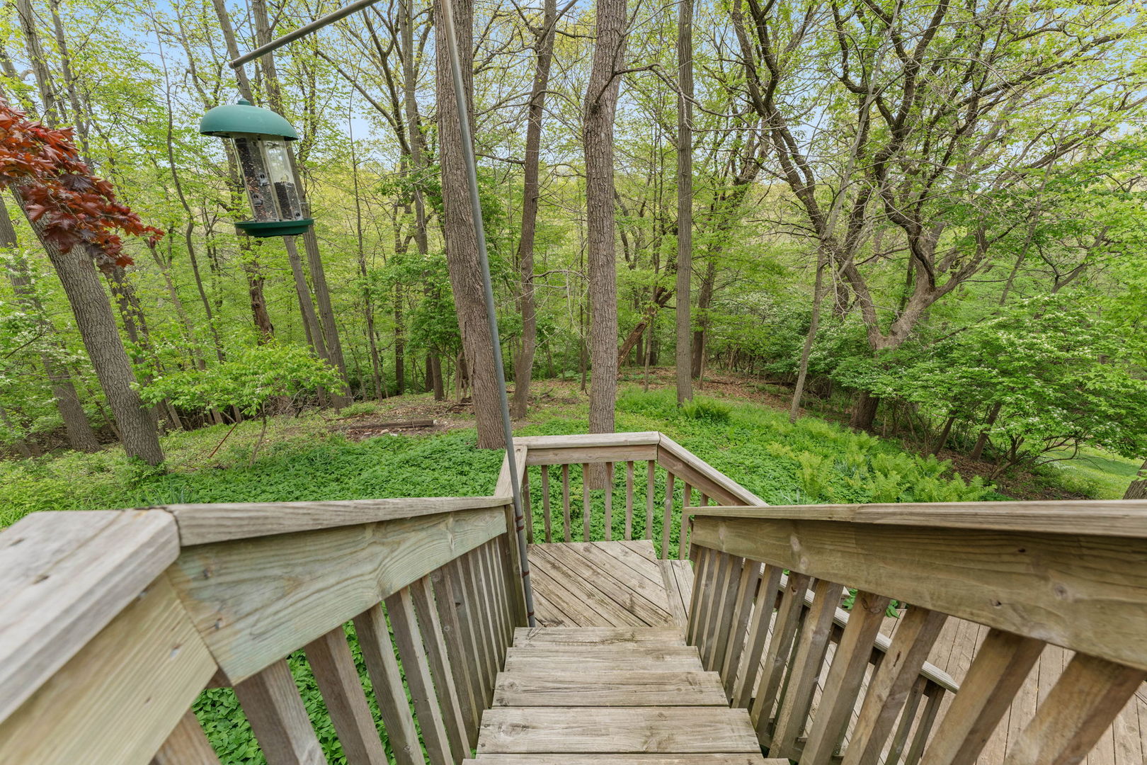 635 Oakview Drive