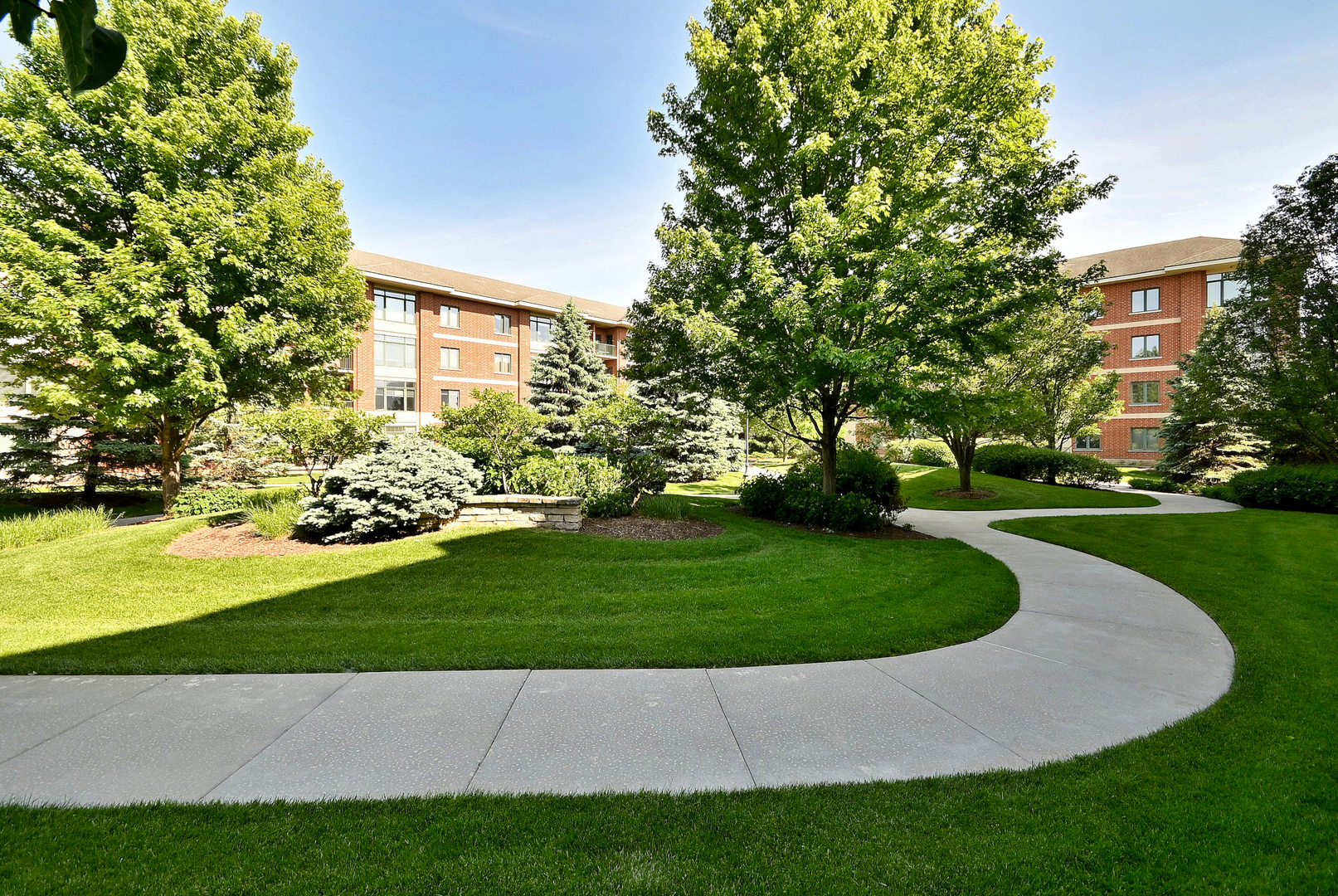 855 E 22nd Street Unit: 313