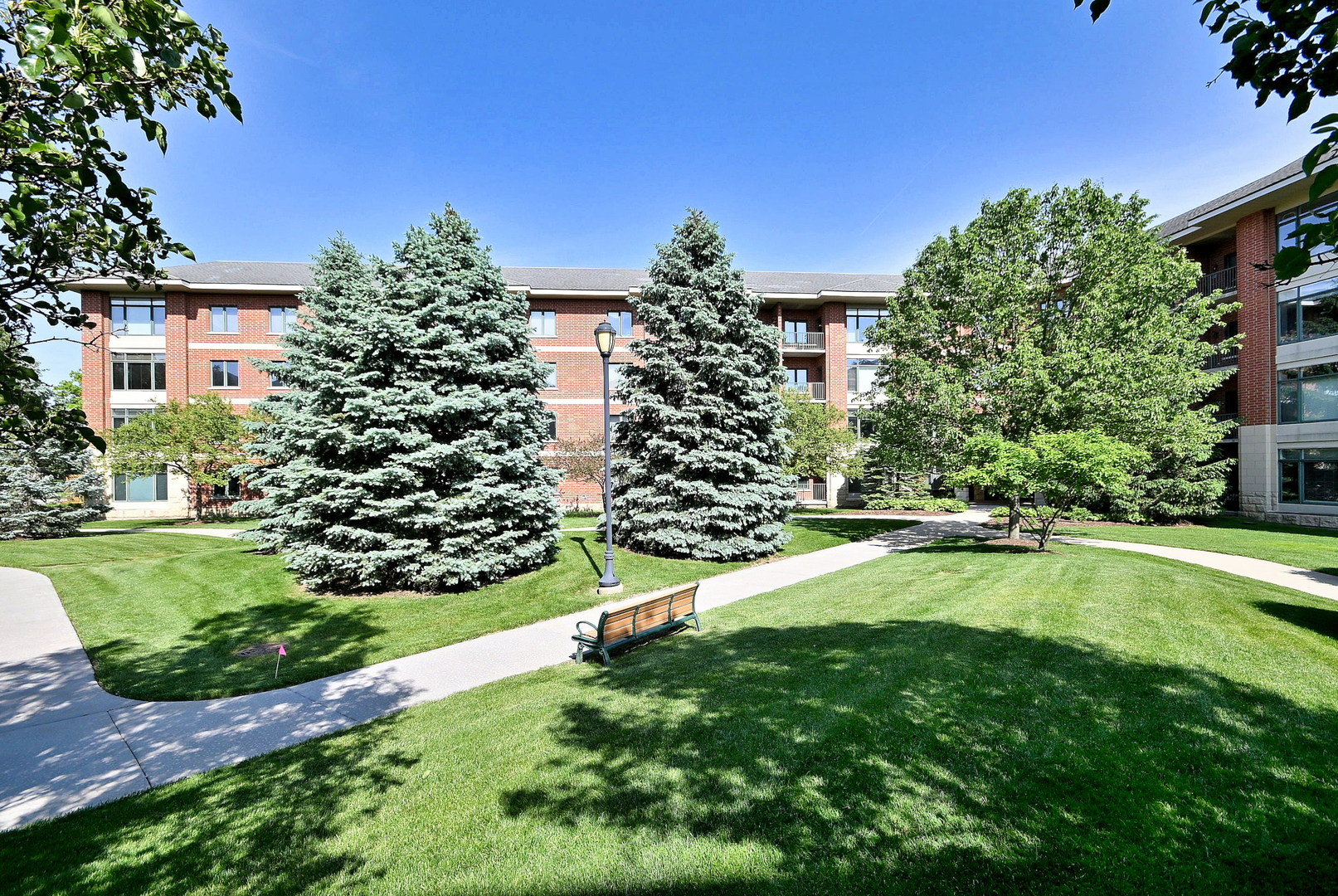 855 E 22nd Street Unit: 313