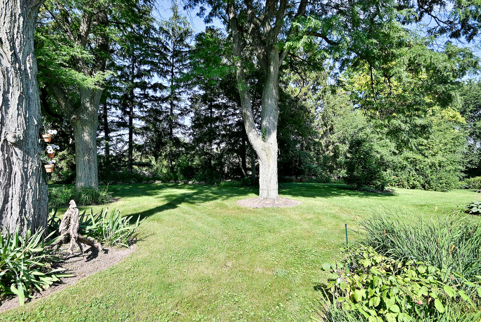 9 Dover Drive