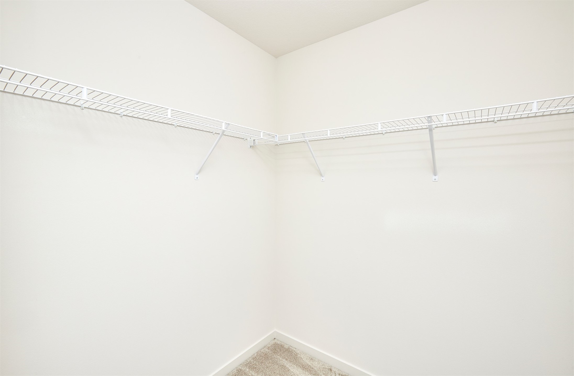 Walk-in closet with white wire shelving along two walls and beige carpet.