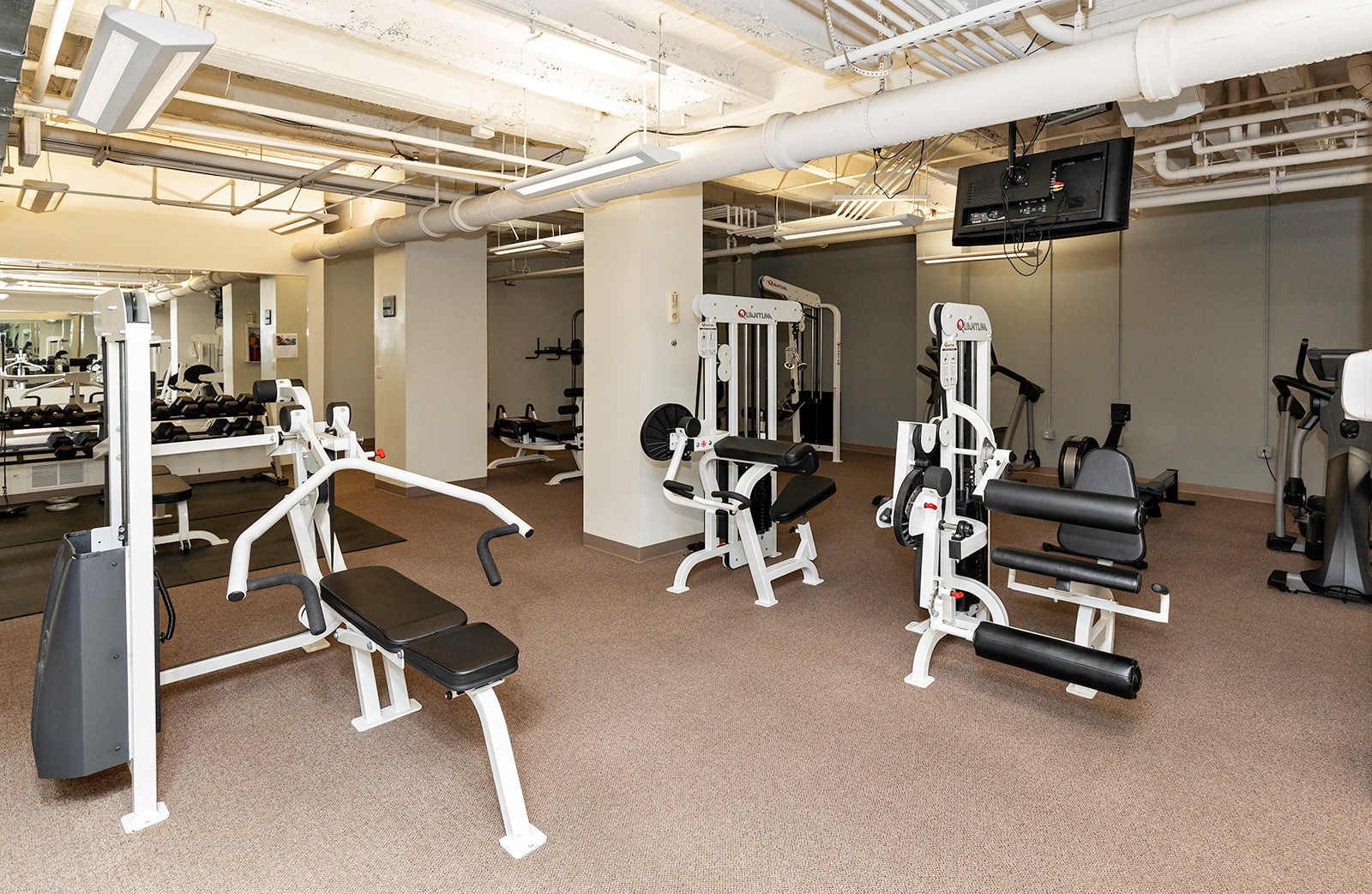 400 Walnut Street 1103