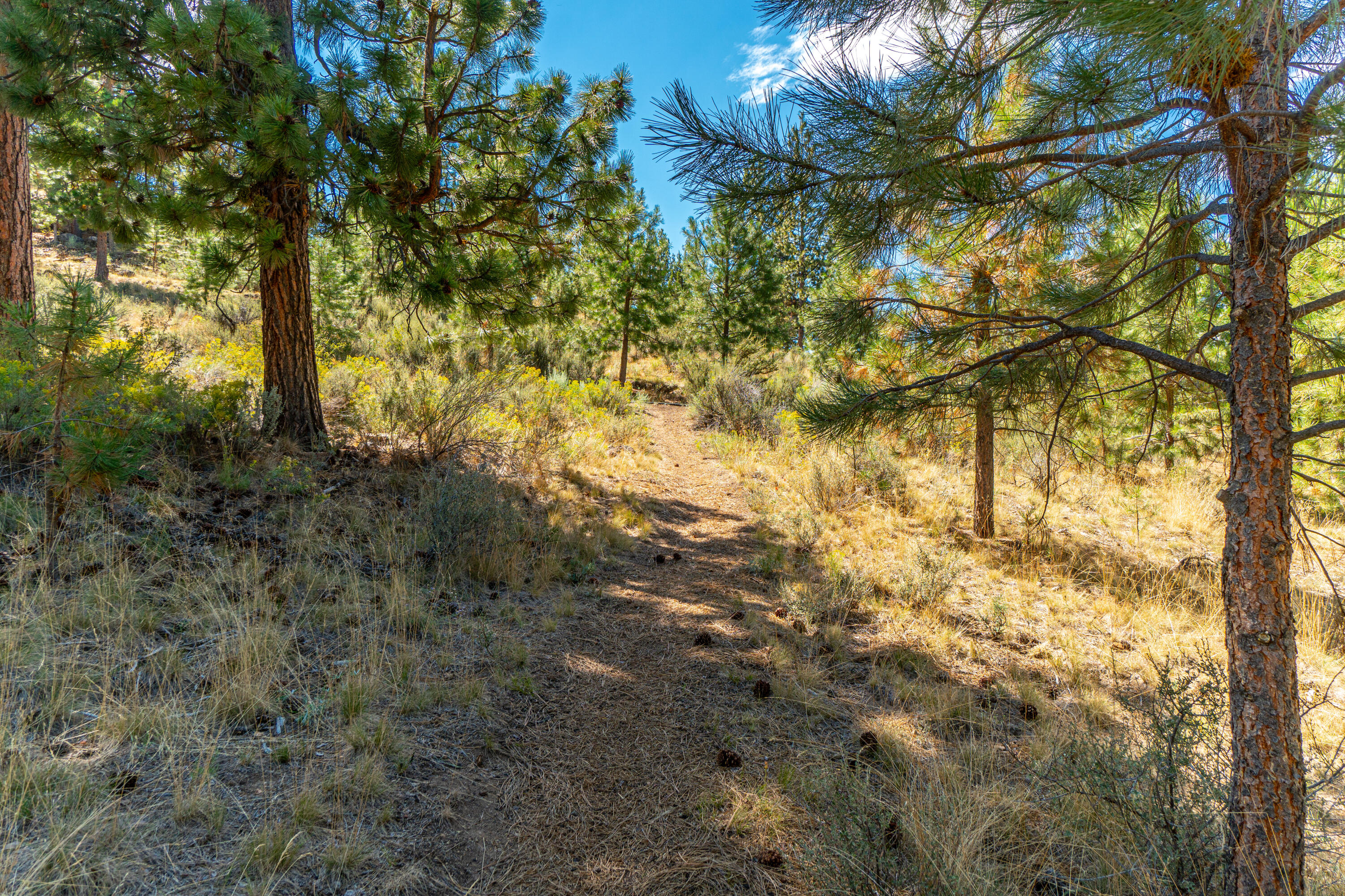 466 NW Flagline Drive