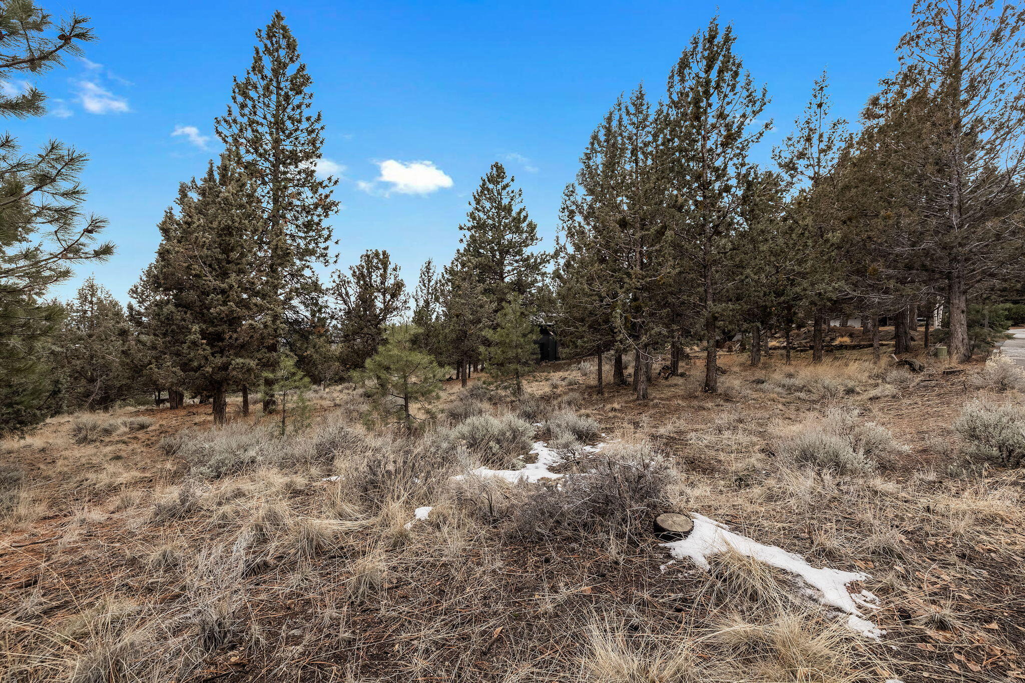 1615 NW Summit Drive