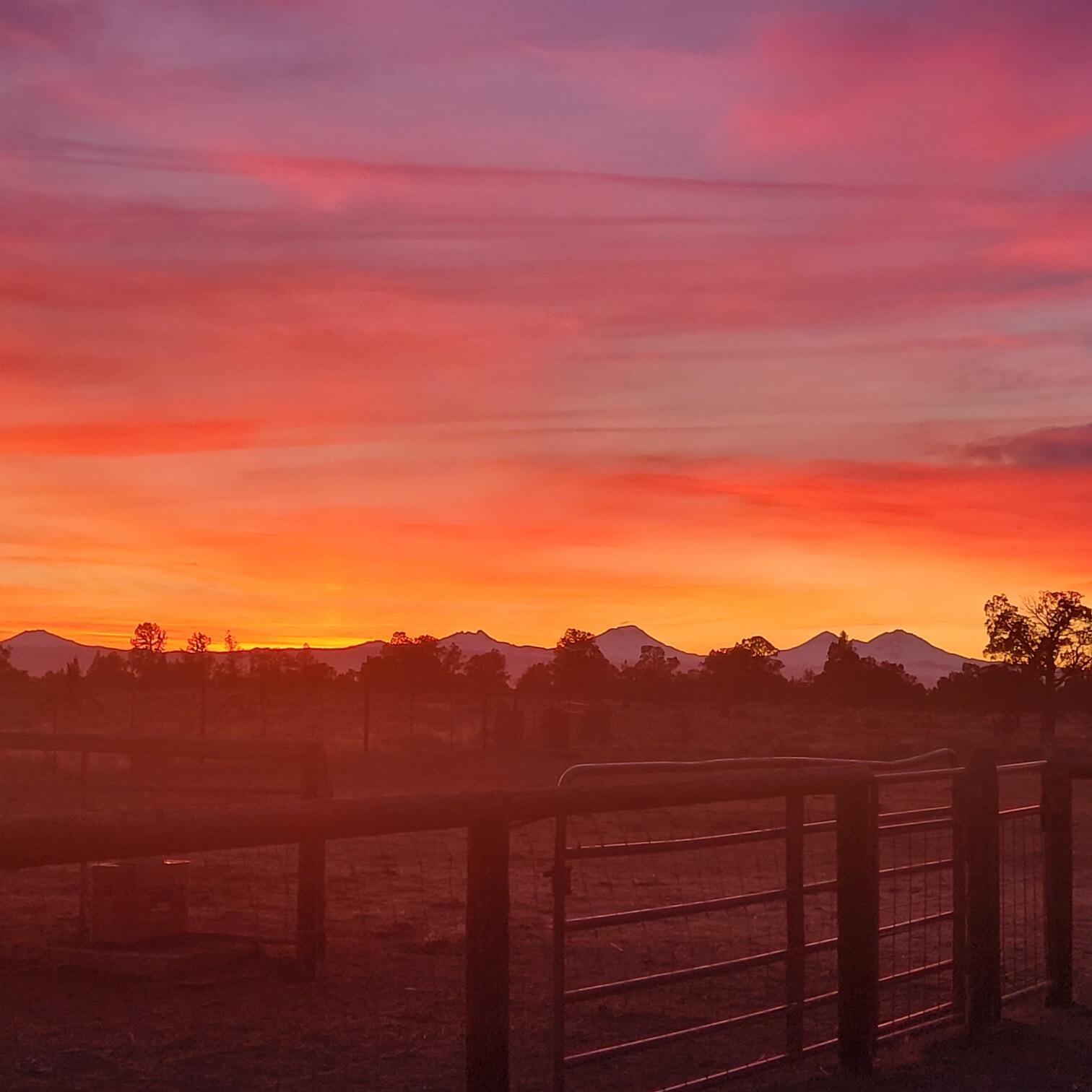 18030 SW Mount Adams Loop