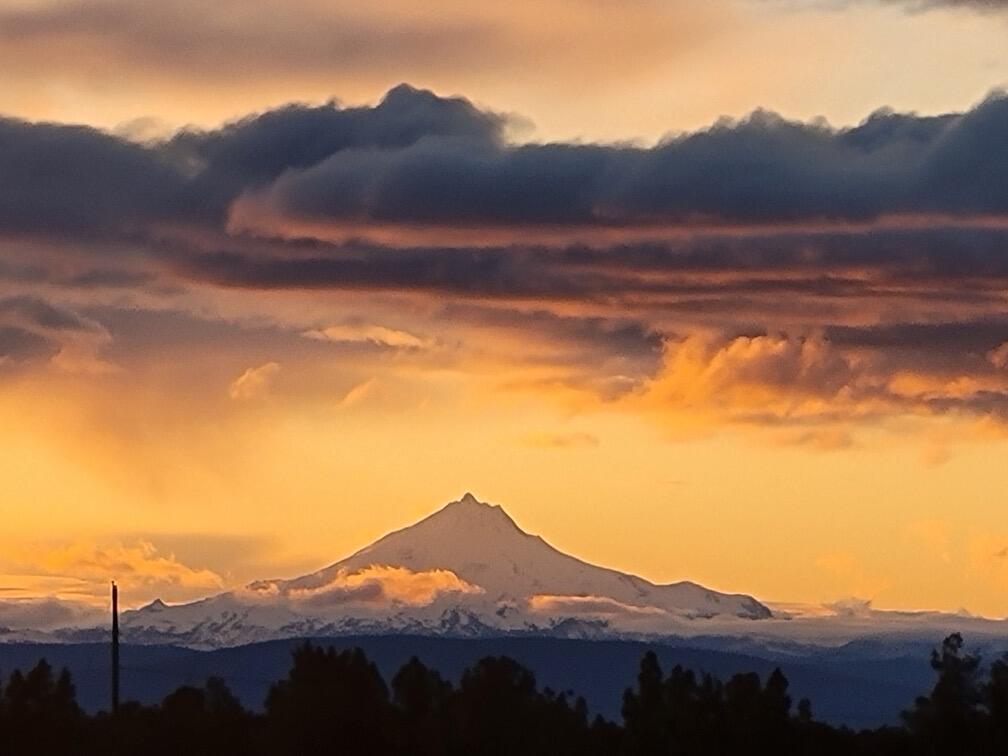 18030 SW Mount Adams Loop