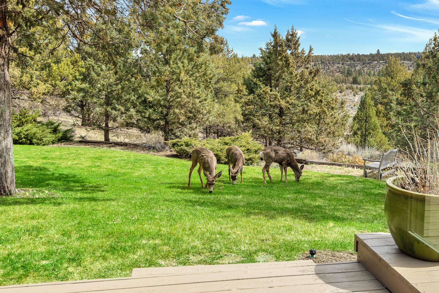 64174 Tumalo Rim Drive