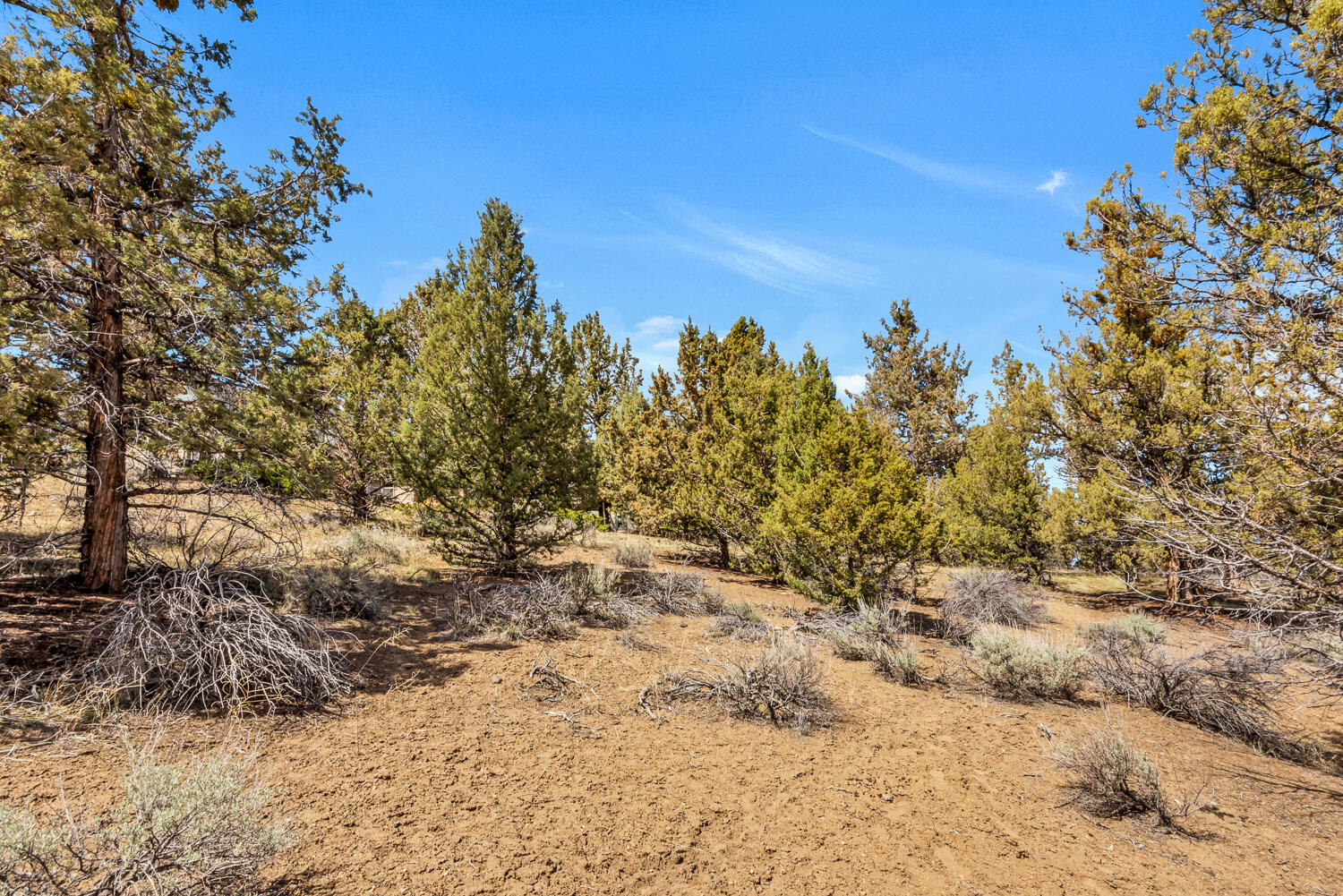 64174 Tumalo Rim Drive