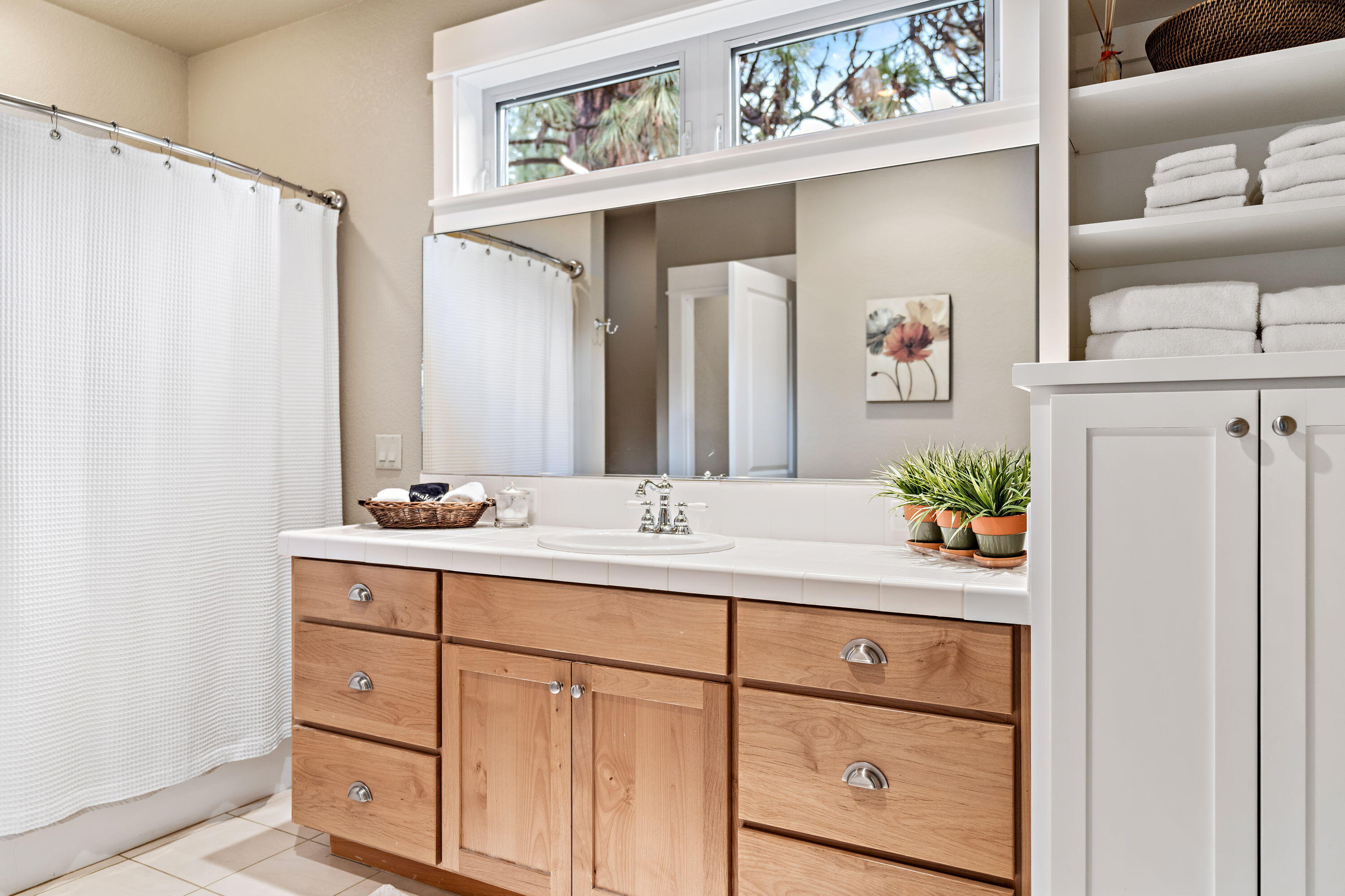 19696 Winter Wren Loop