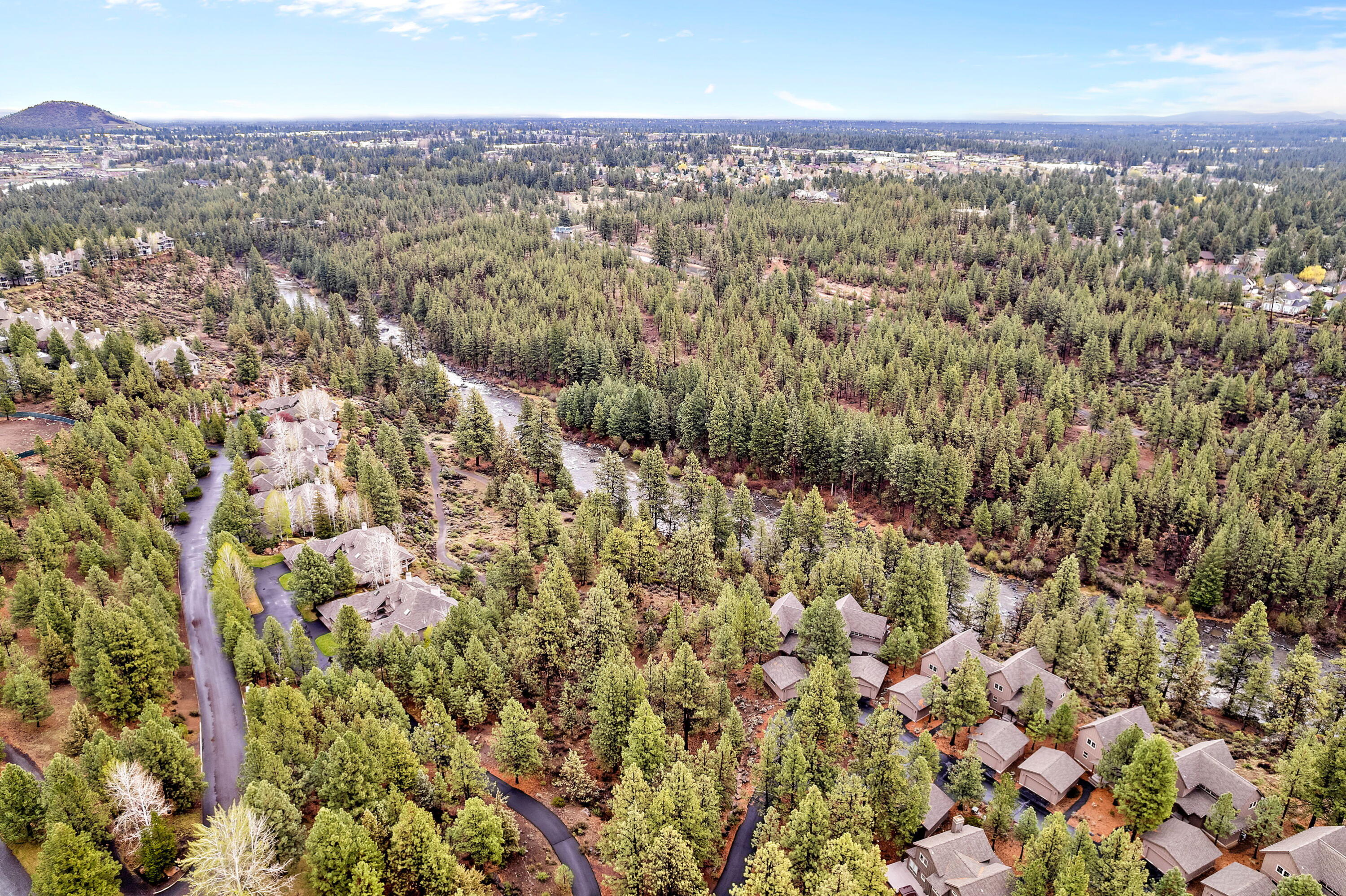 19696 Winter Wren Loop