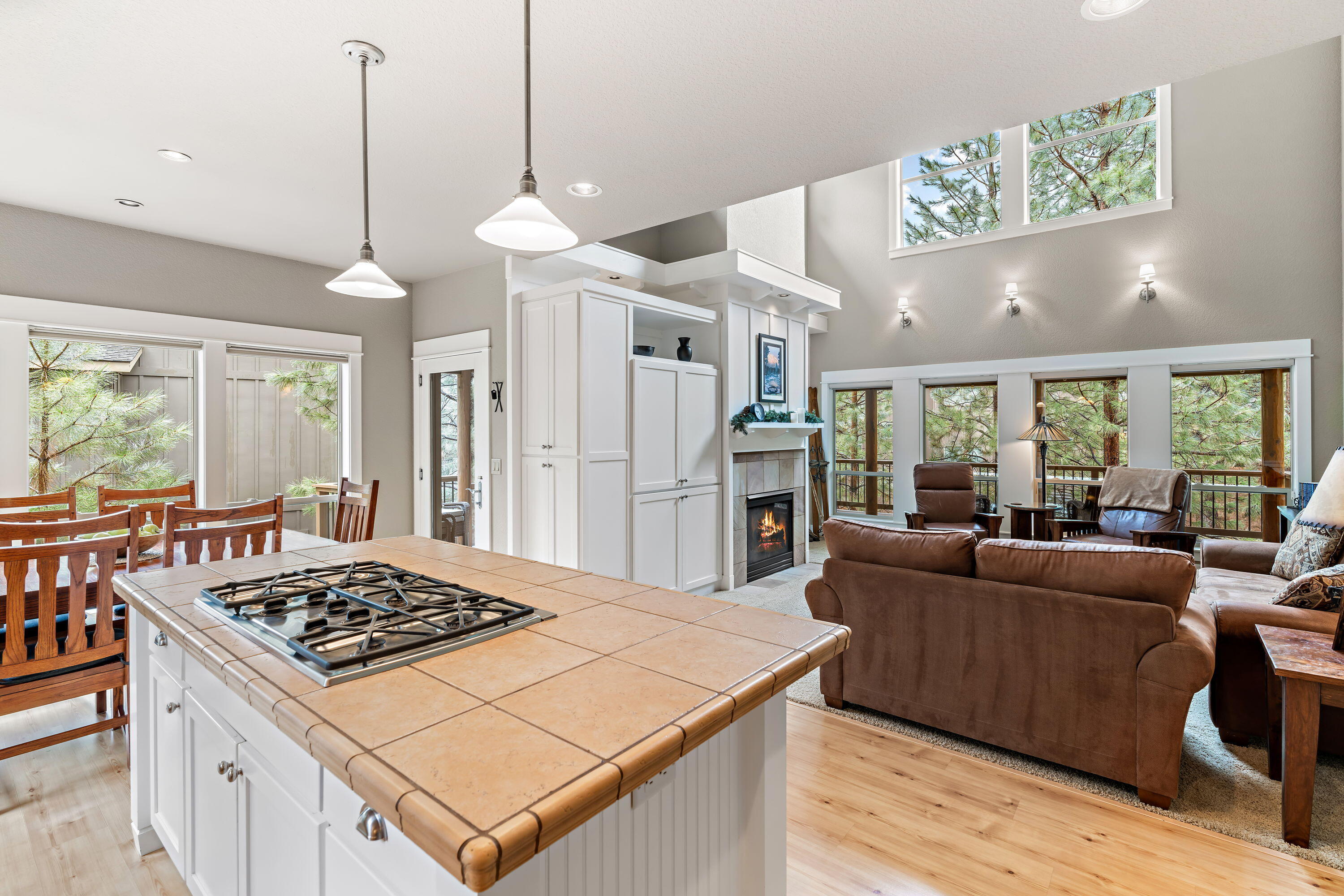 19696 Winter Wren Loop