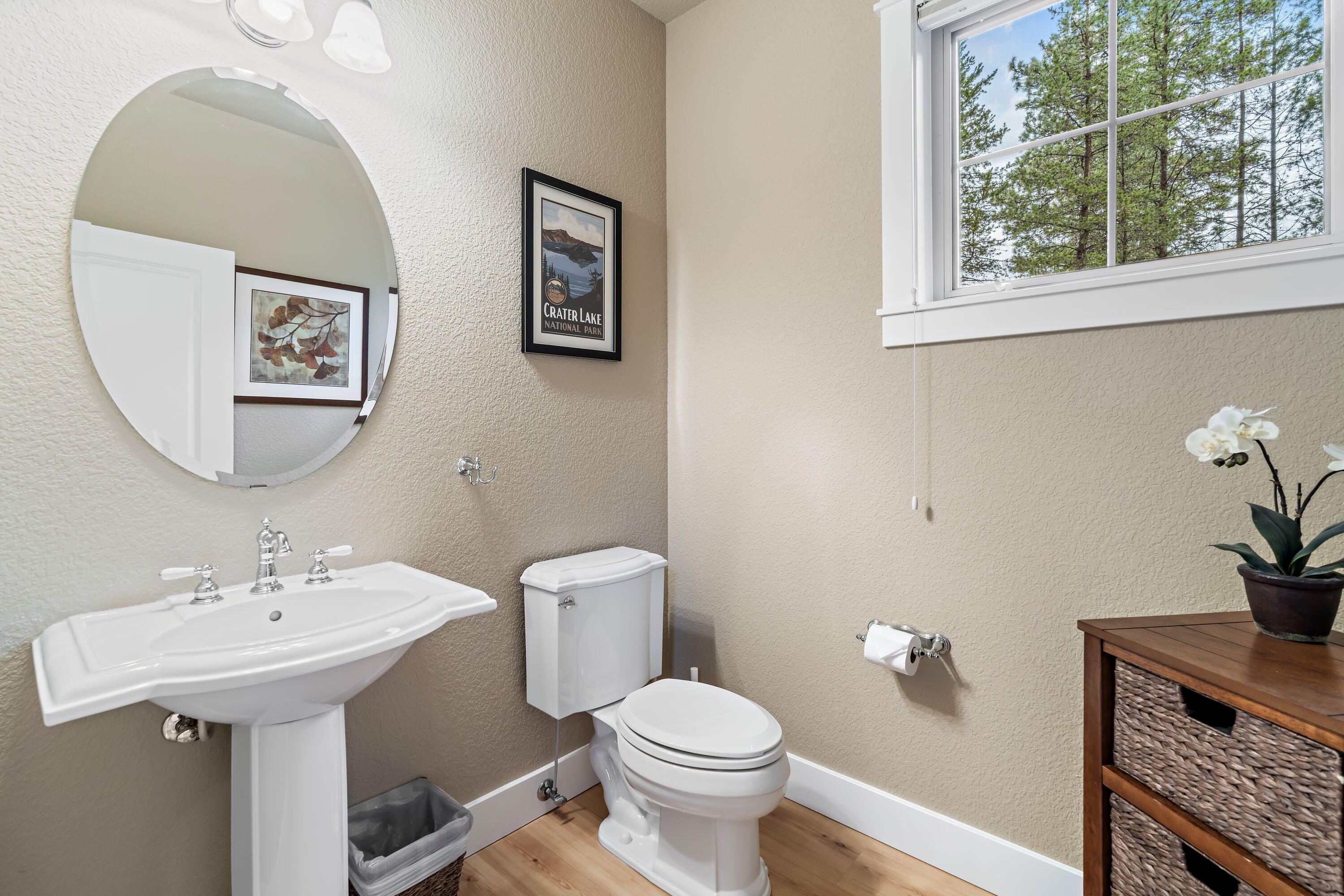 19696 Winter Wren Loop