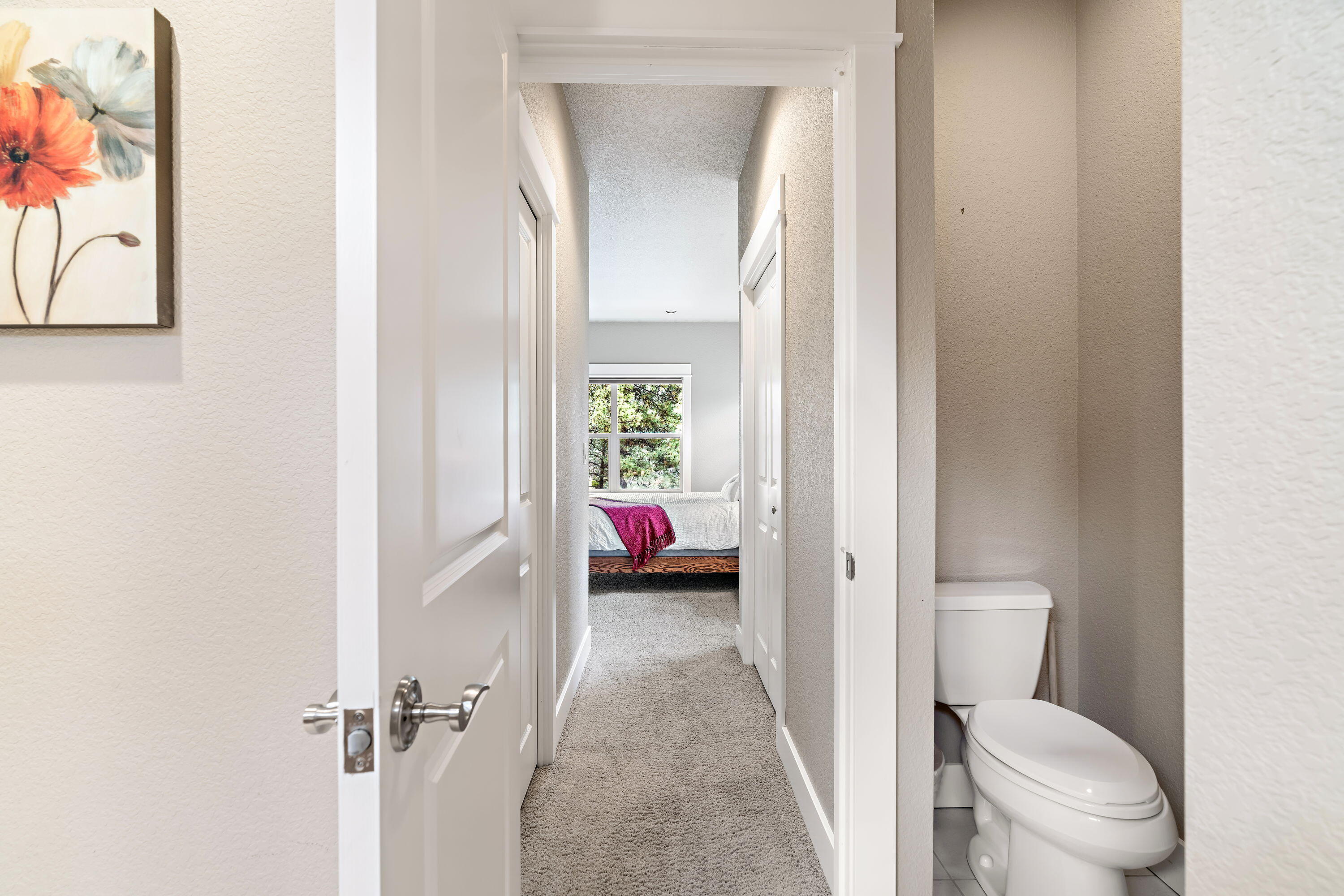 19696 Winter Wren Loop