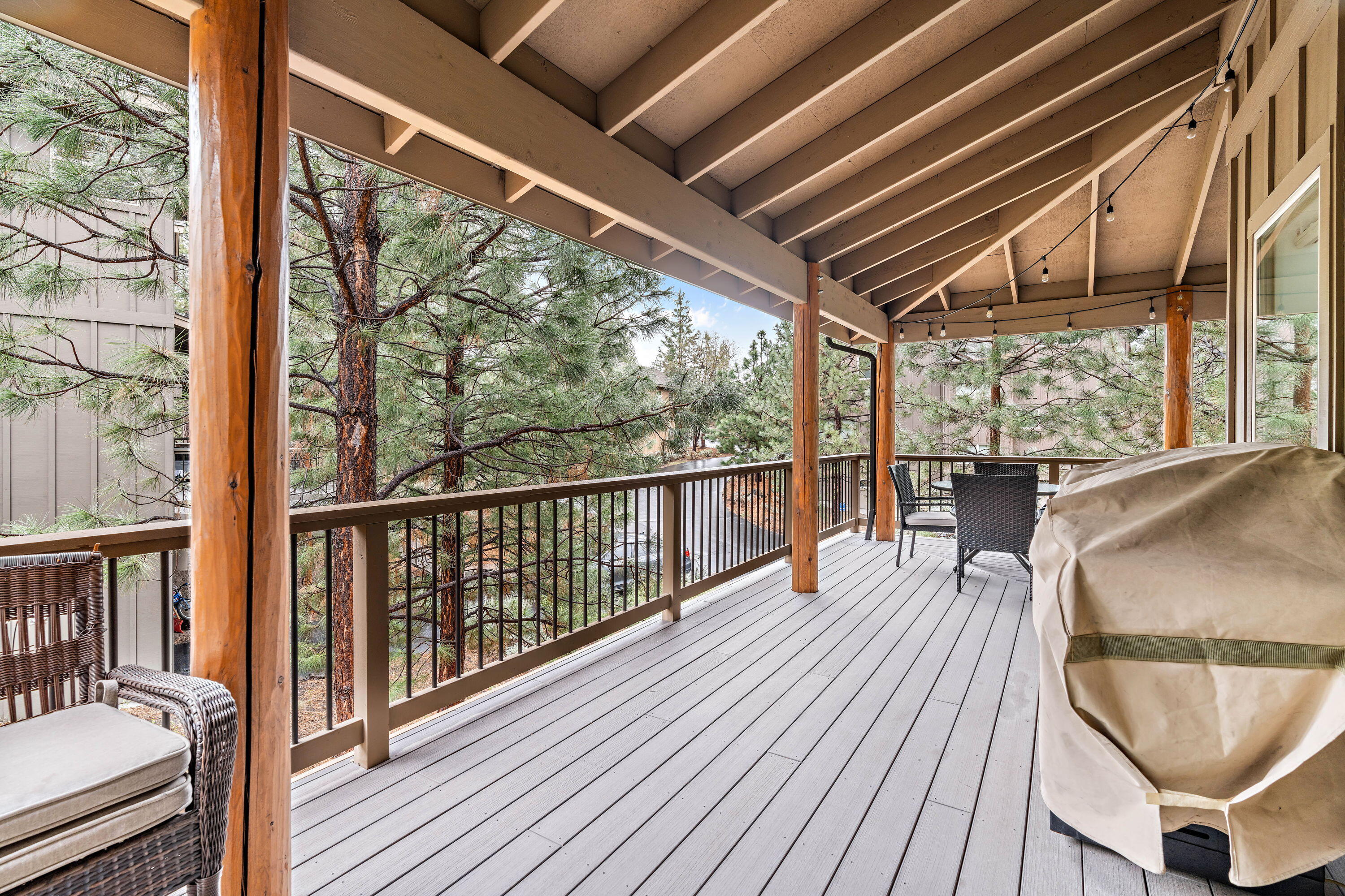 19696 Winter Wren Loop