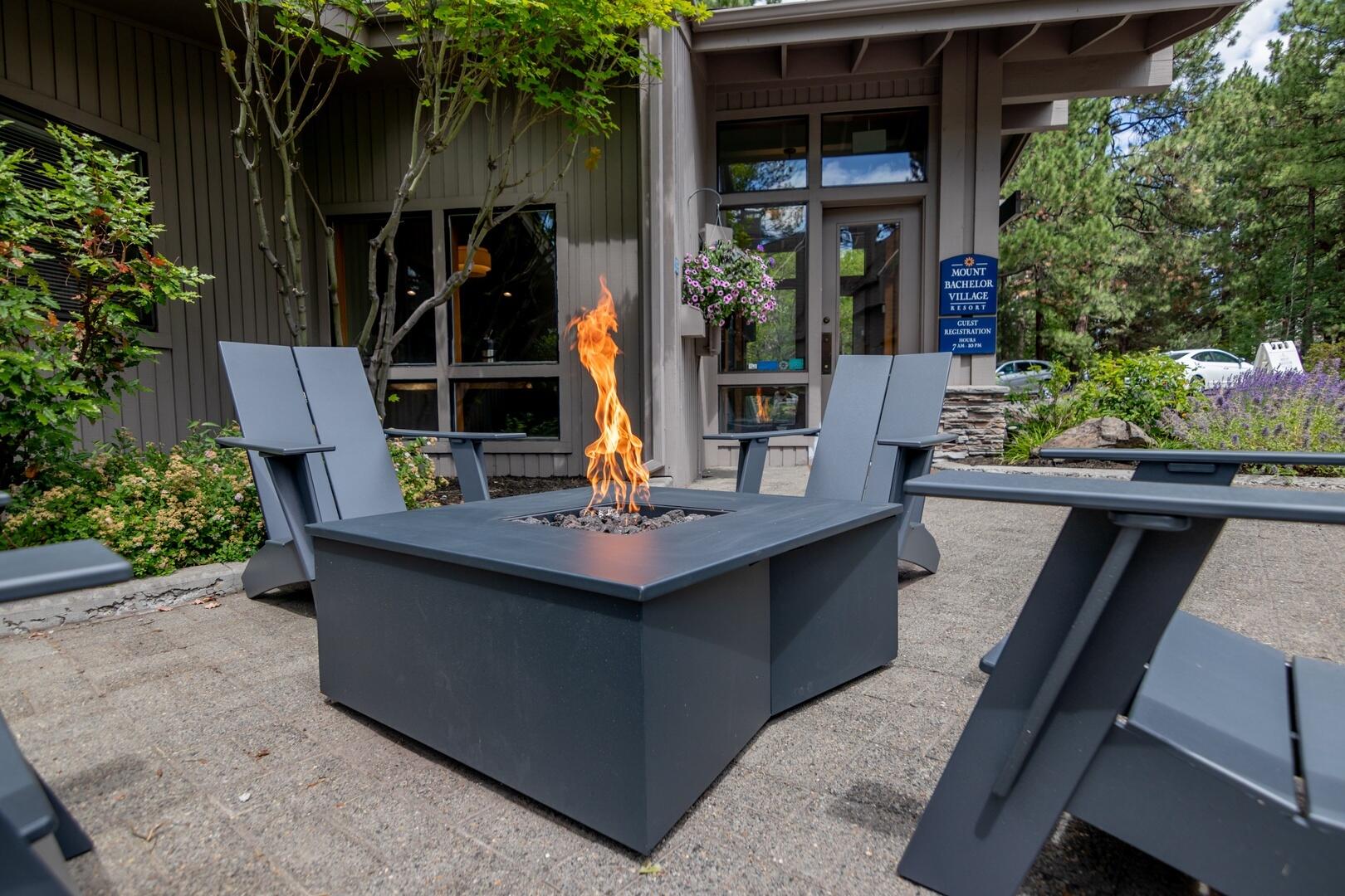 19696 Winter Wren Loop