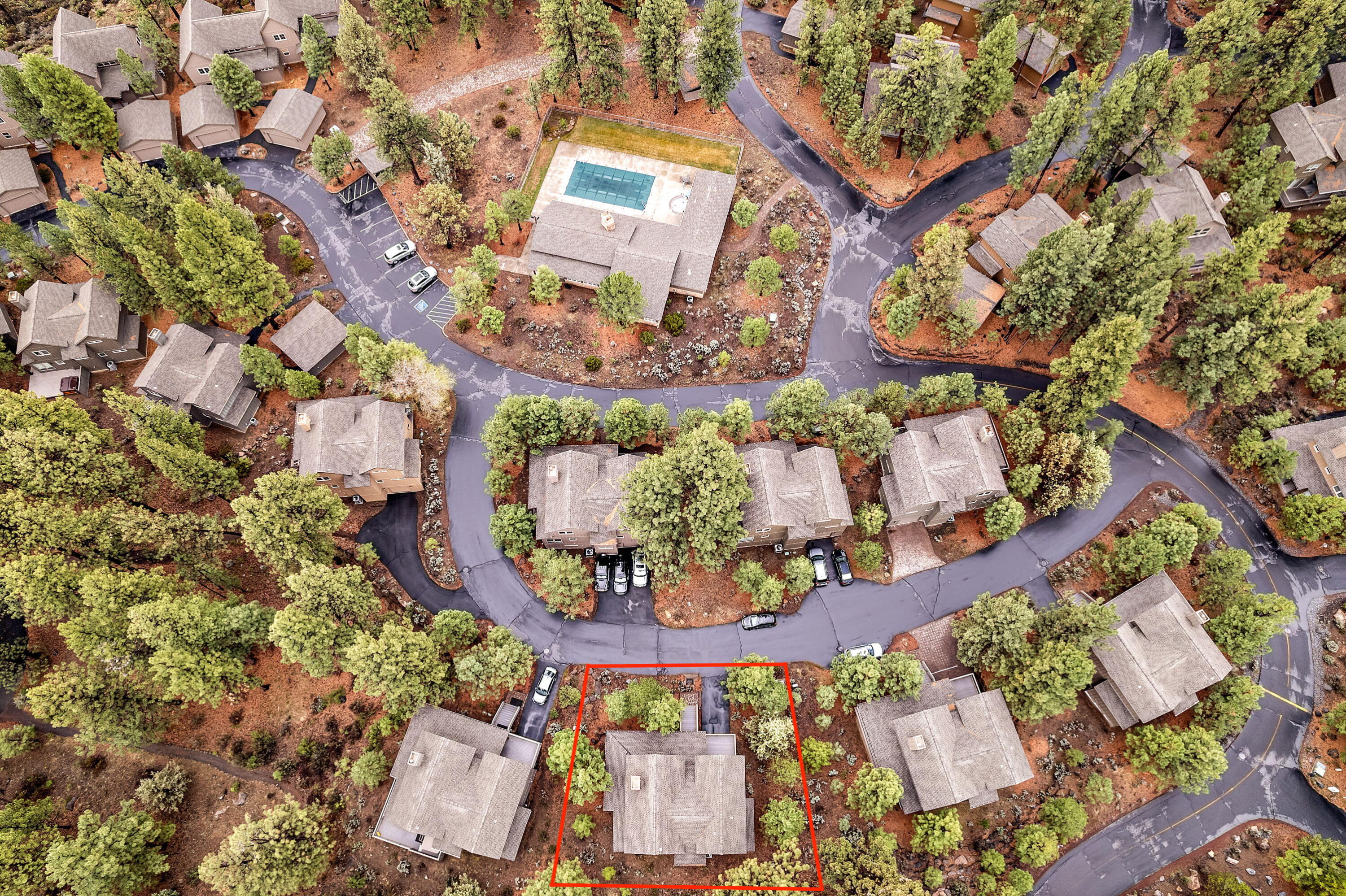 19696 Winter Wren Loop