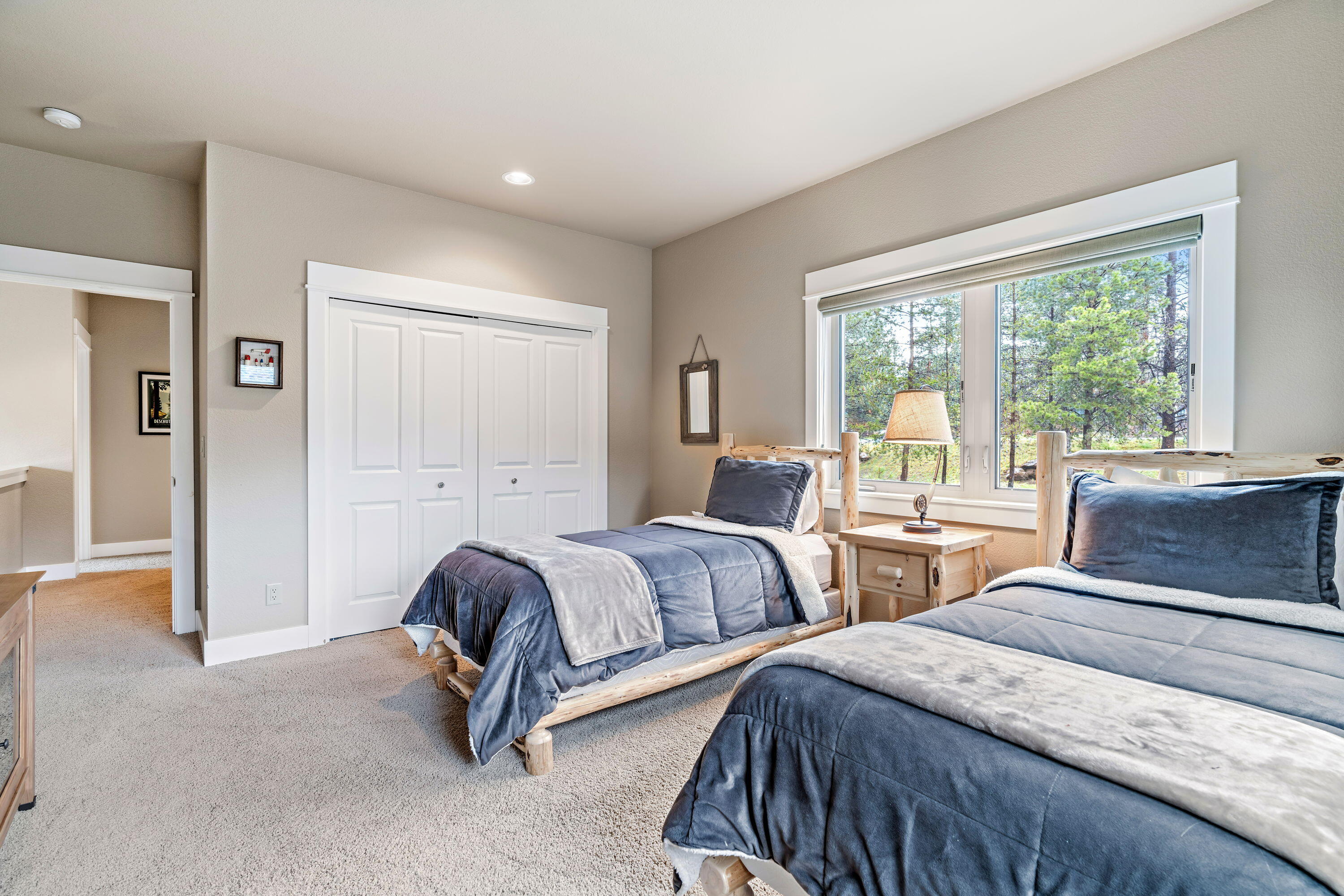 19696 Winter Wren Loop