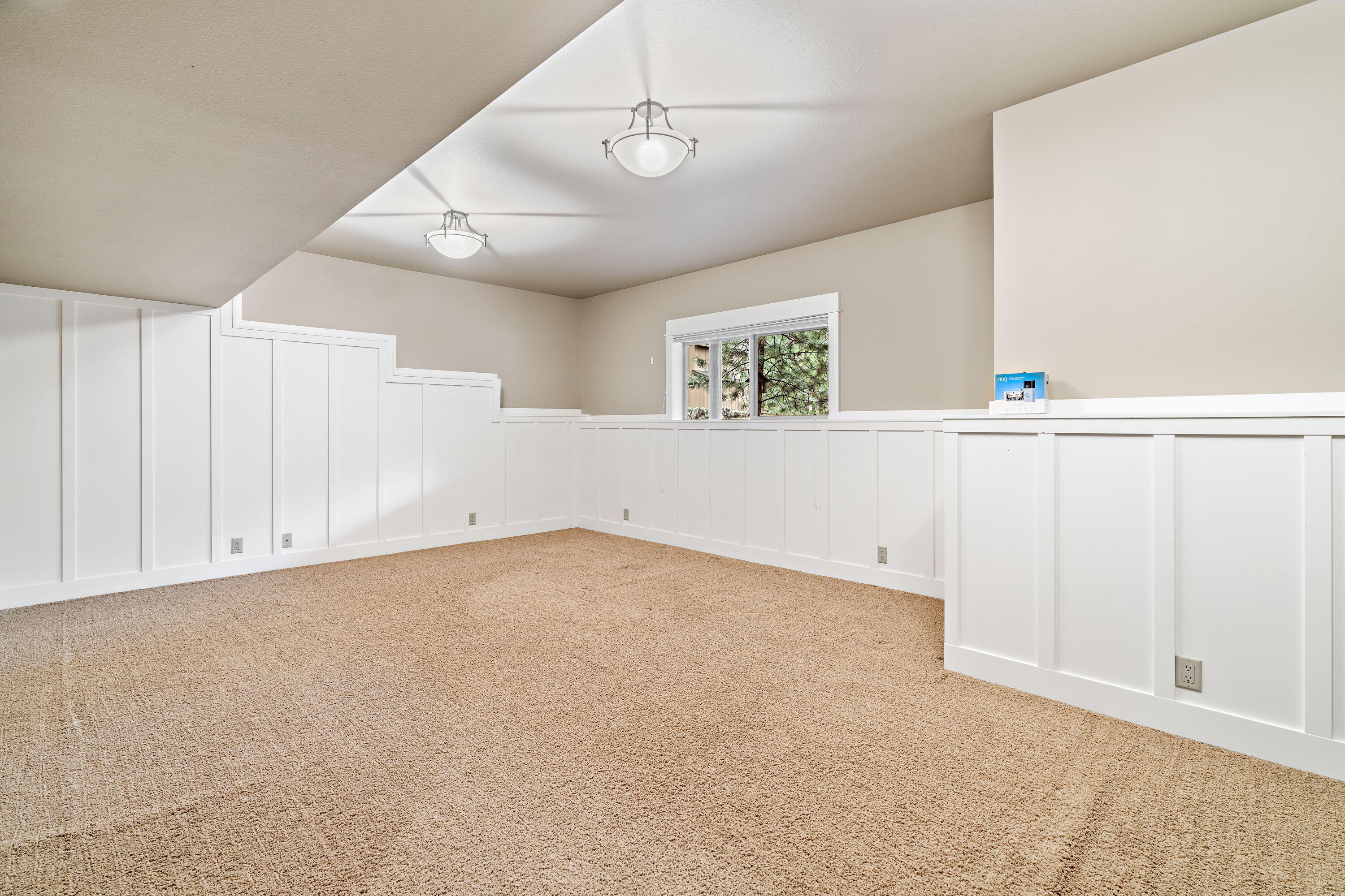 19696 Winter Wren Loop