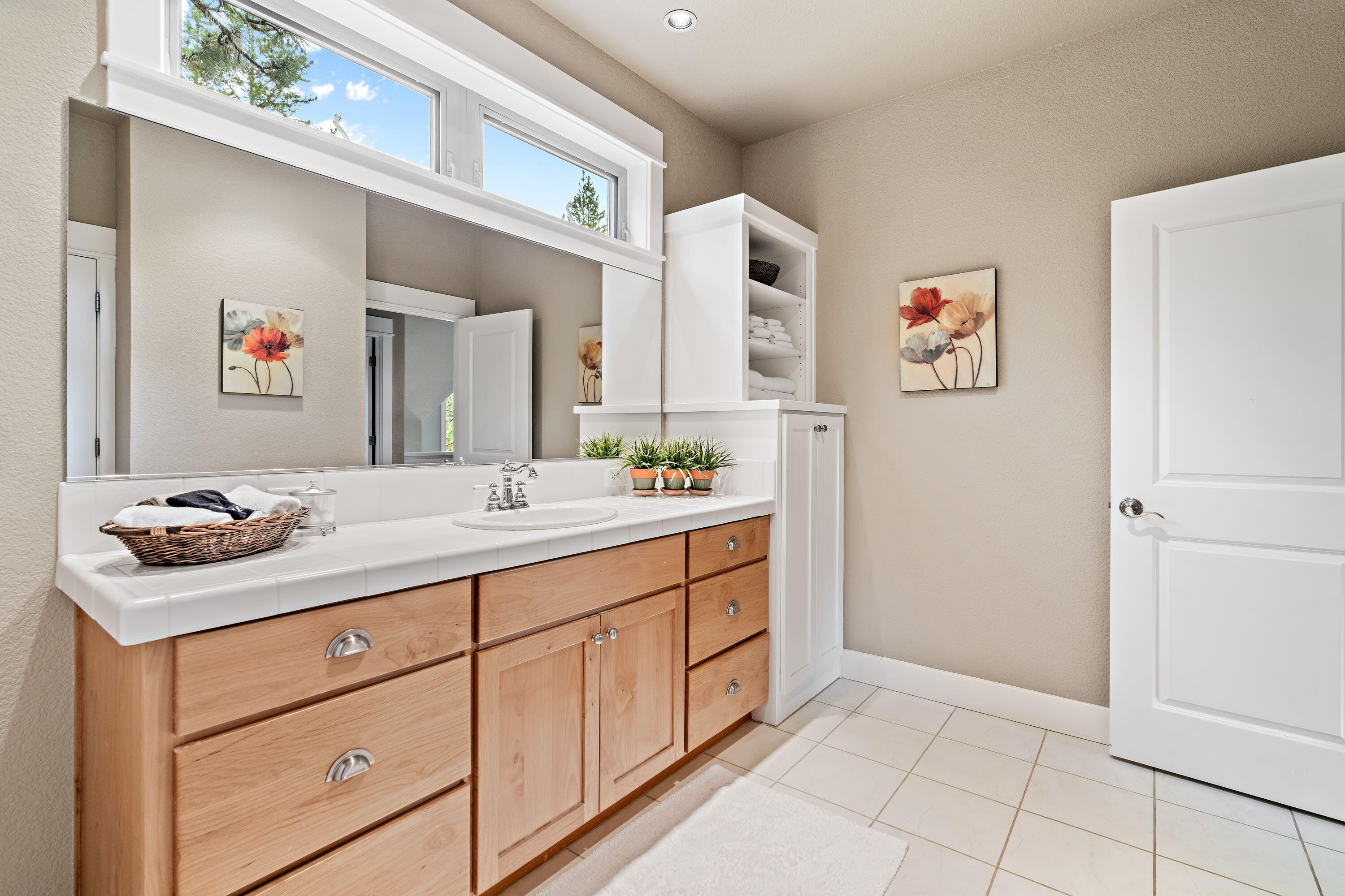 19696 Winter Wren Loop