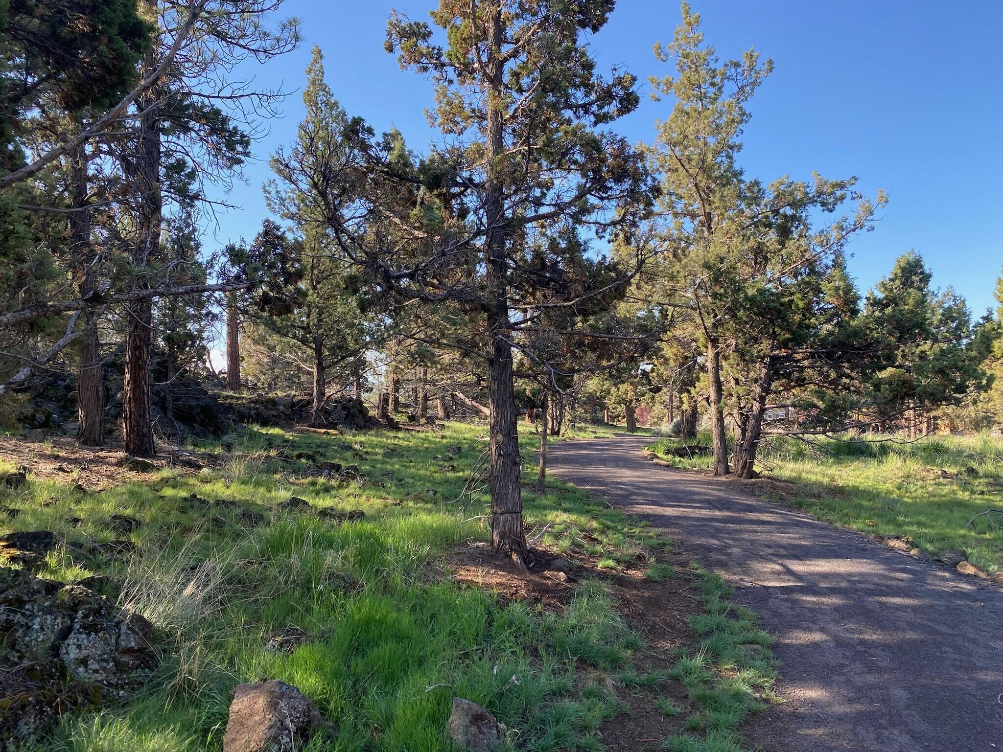 20531 SE Stanford Place