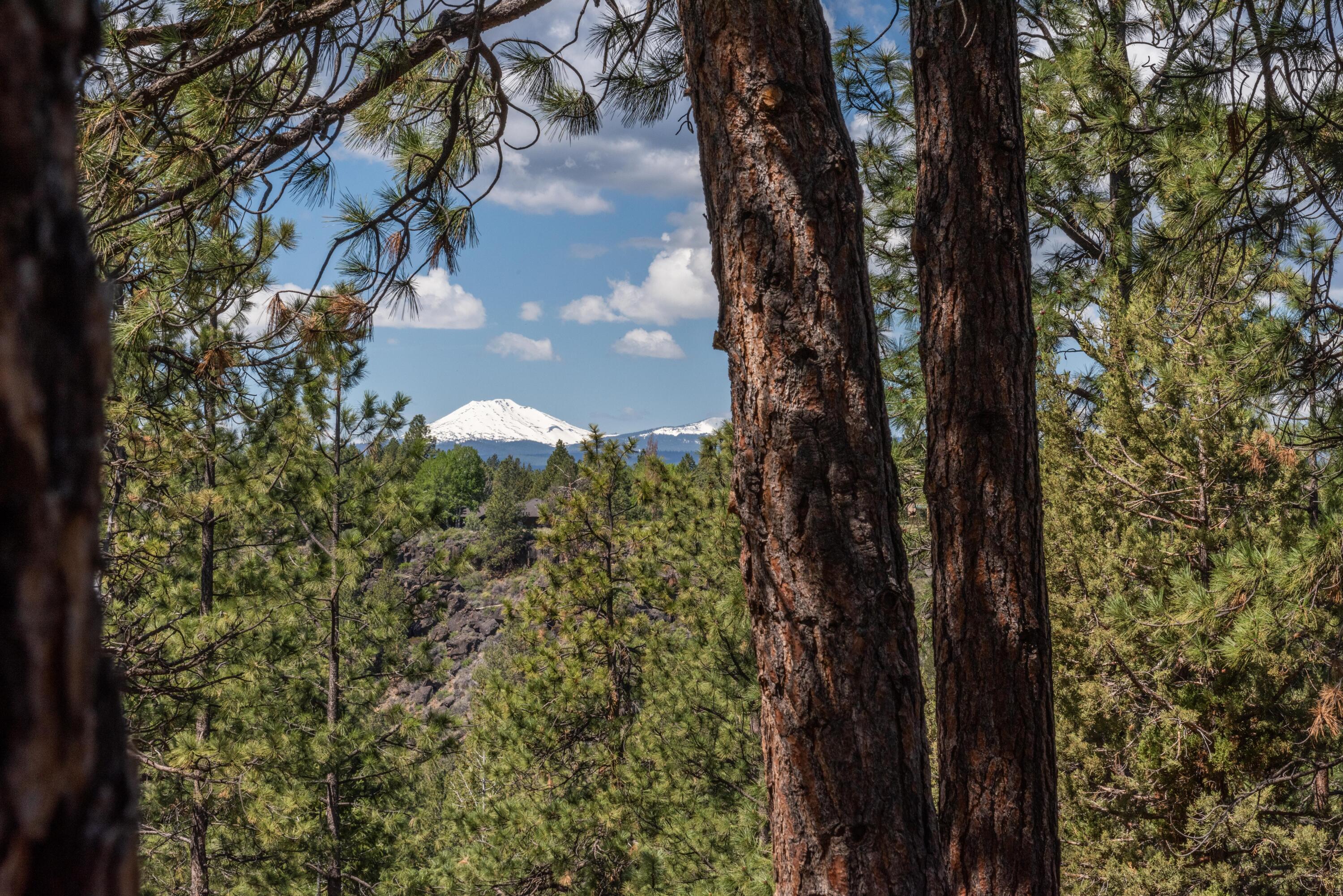 61359 Gorge View Street