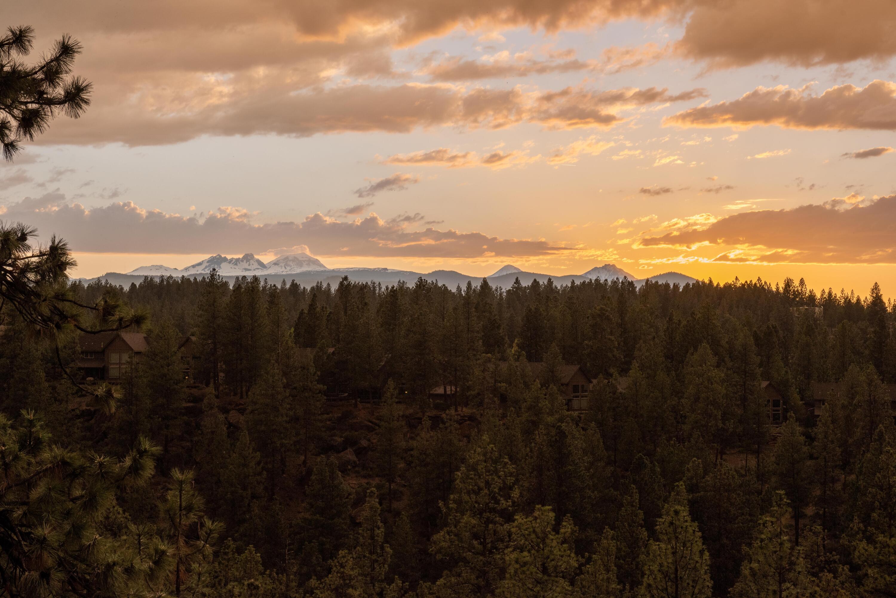 61359 Gorge View Street