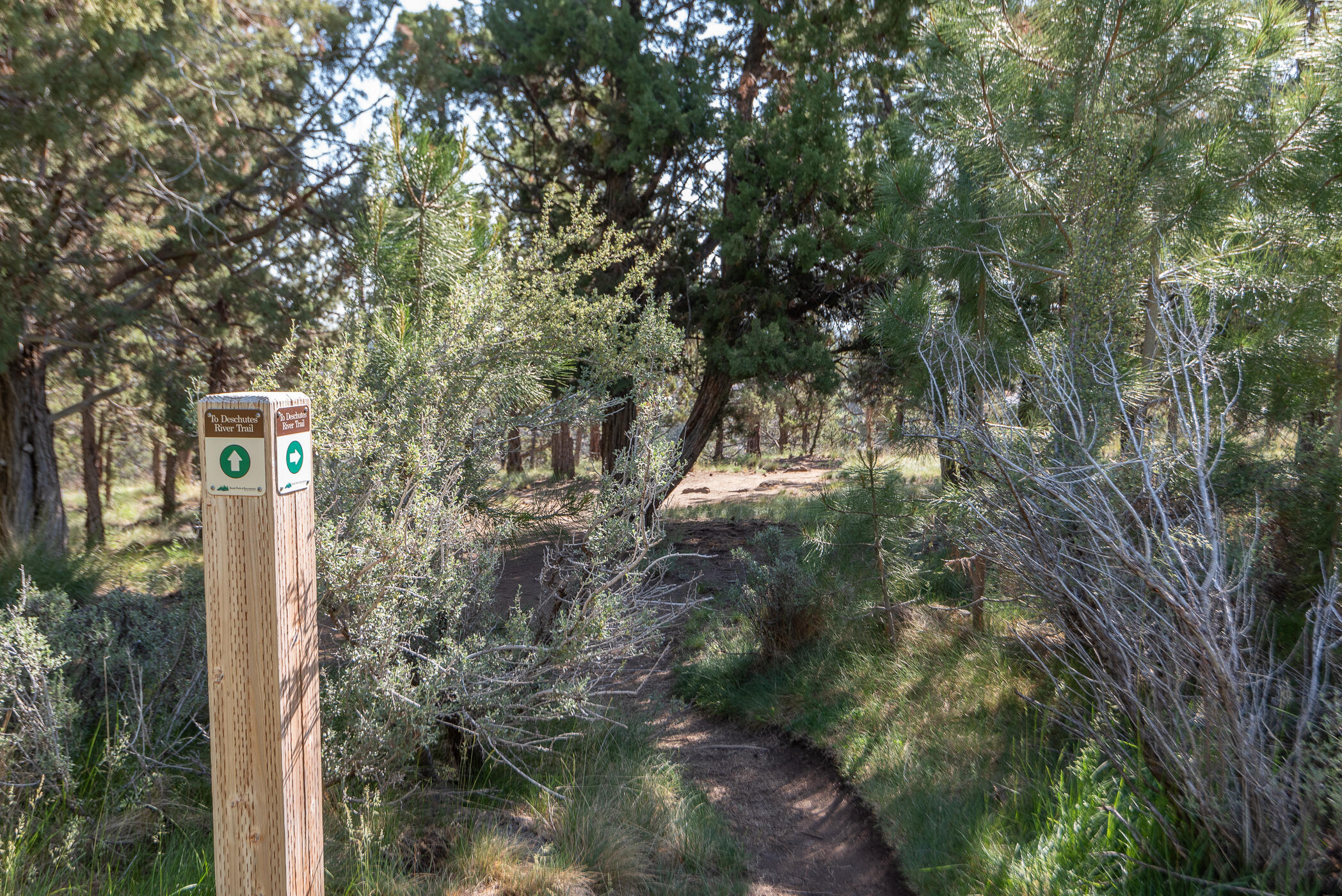 715 NW Yosemite Drive