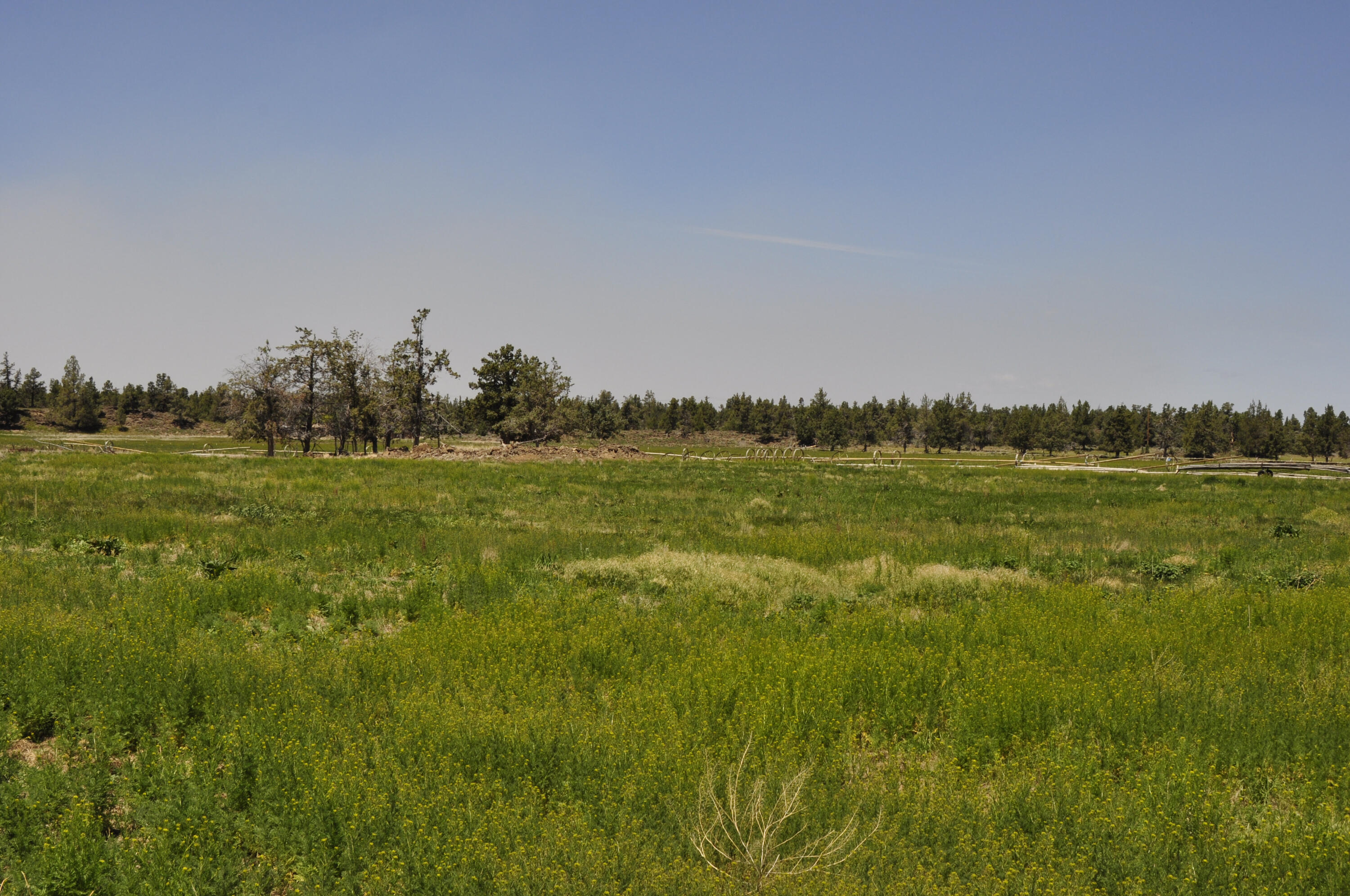 64320 Deschutes Market Road