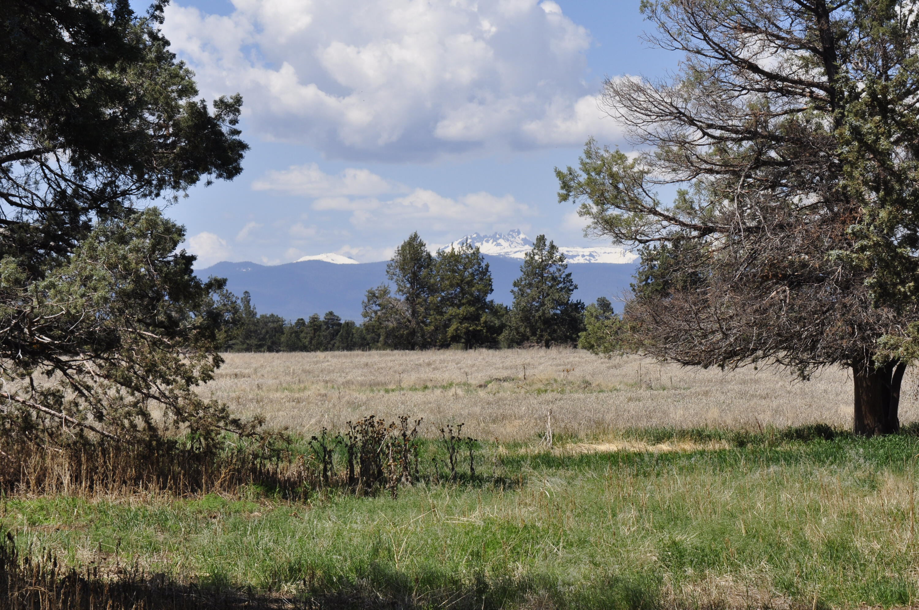 64320 Deschutes Market Road