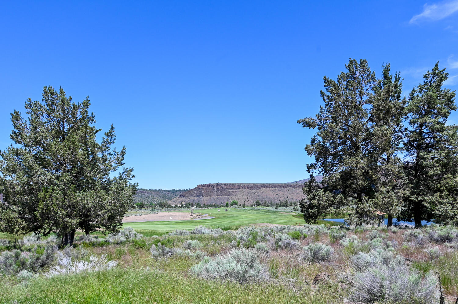 8550 SW Basalt Drive