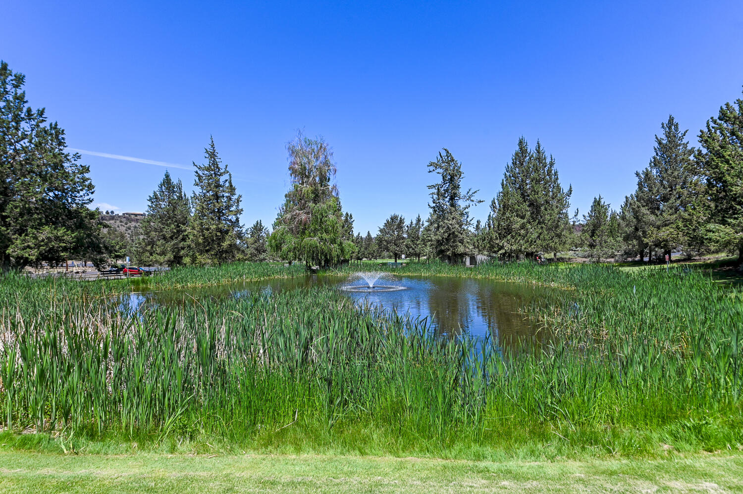 8550 SW Basalt Drive