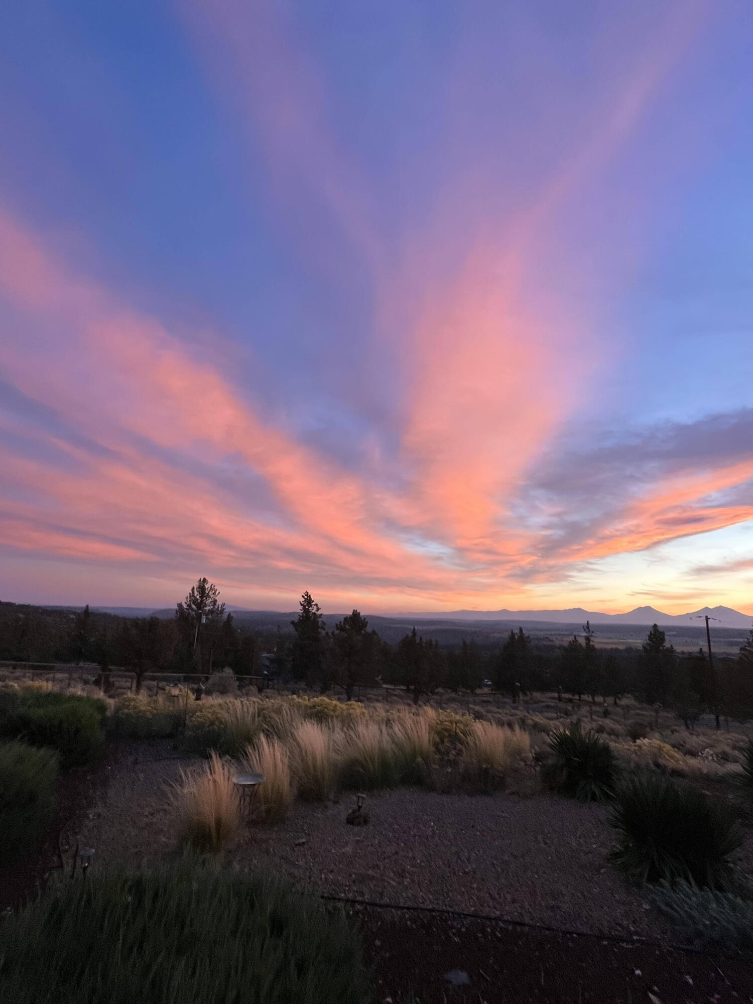 8550 SW Basalt Drive