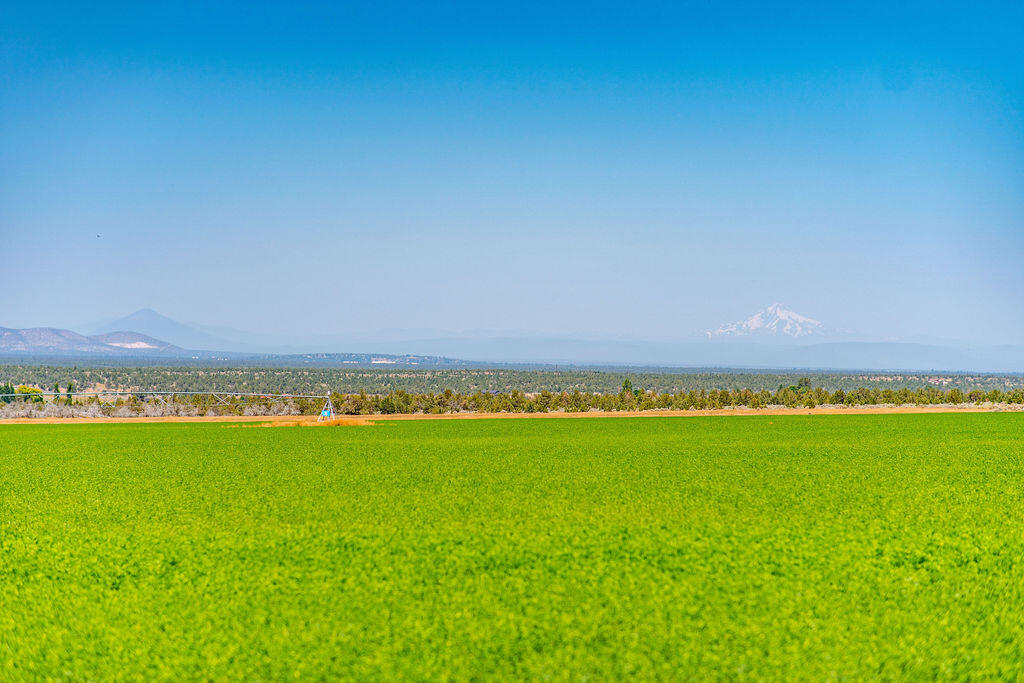 15587 SW Shumway Road