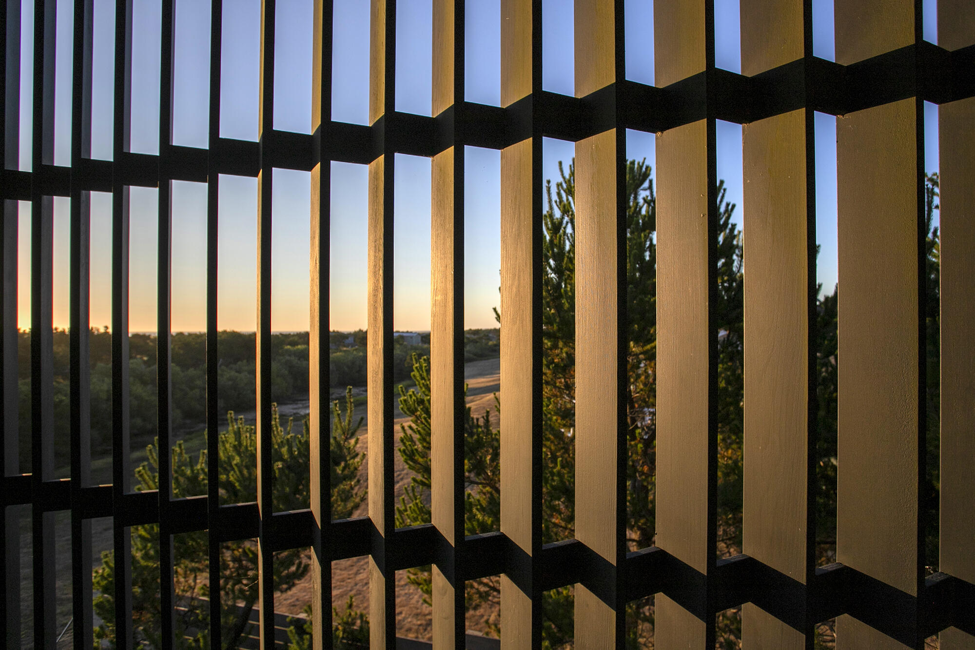 33215 High Surf Lane